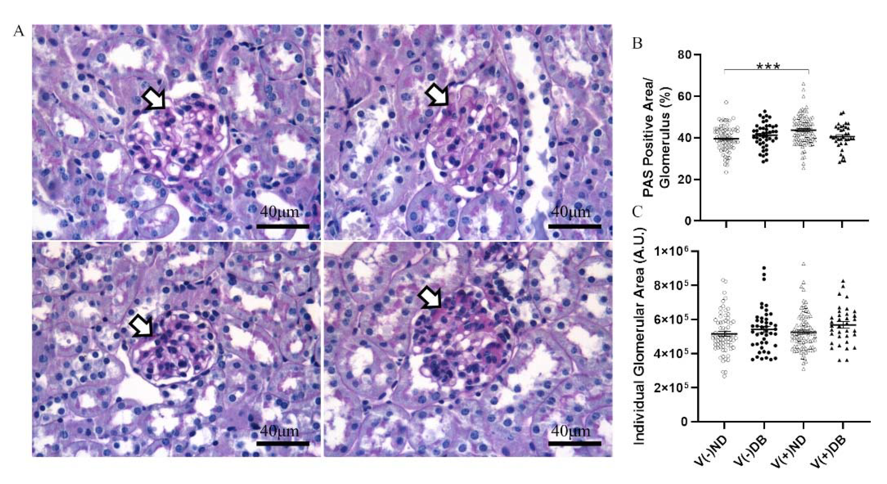 Microorganisms 09 02357 g005 Microorganisms 09 02357 g005