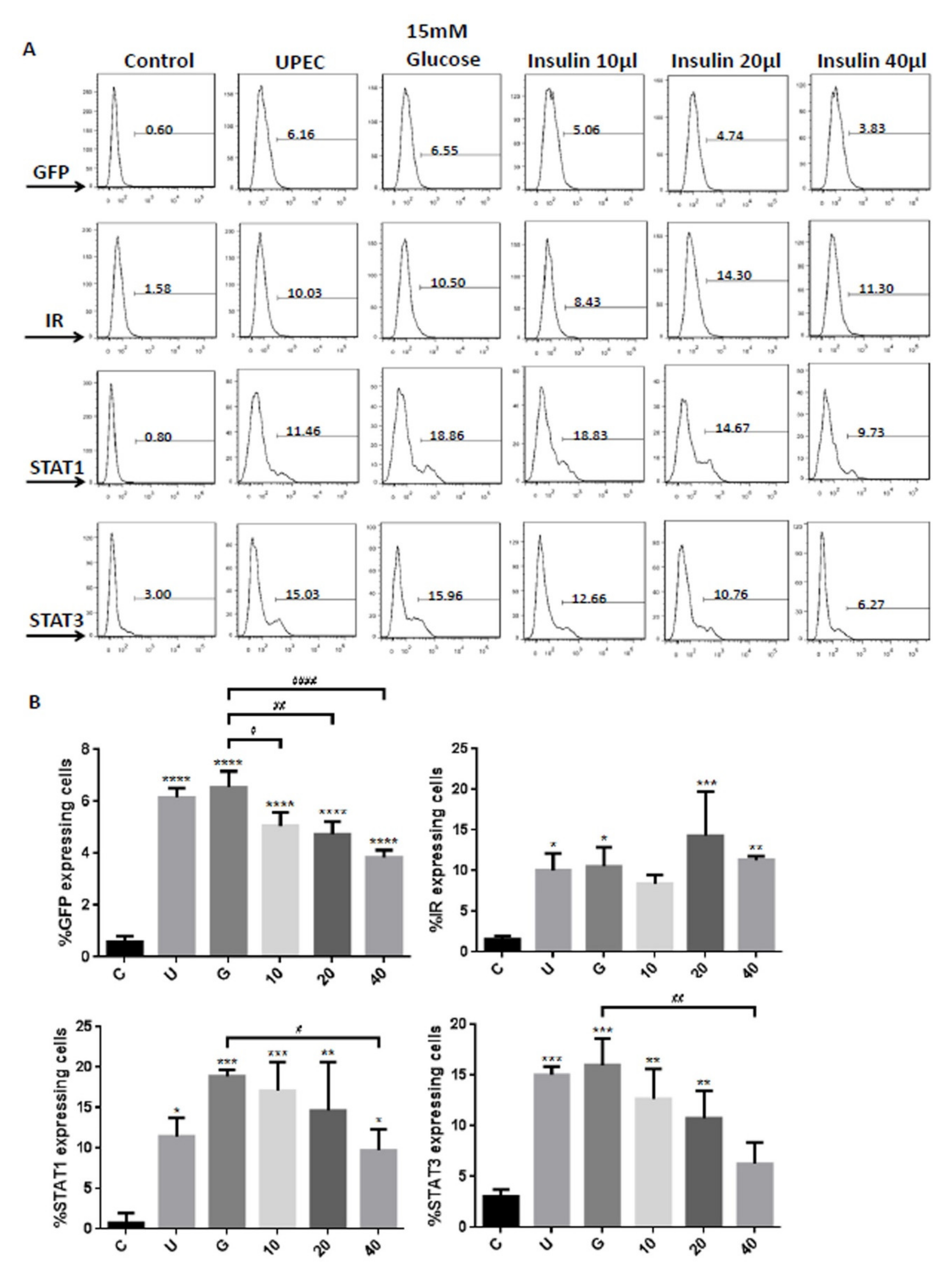 Microorganisms 09 02421 g005