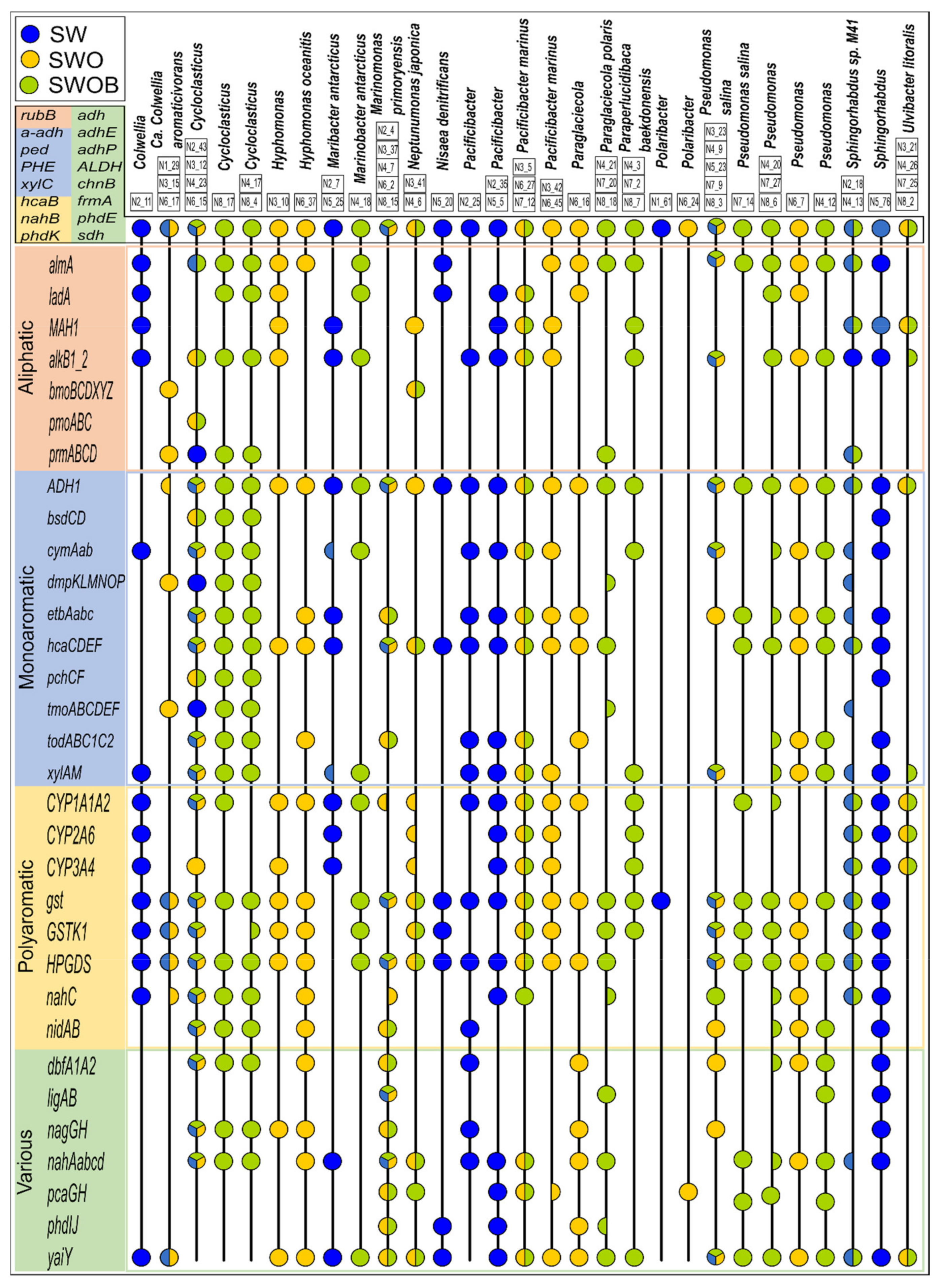 Microorganisms 09 02425 g007