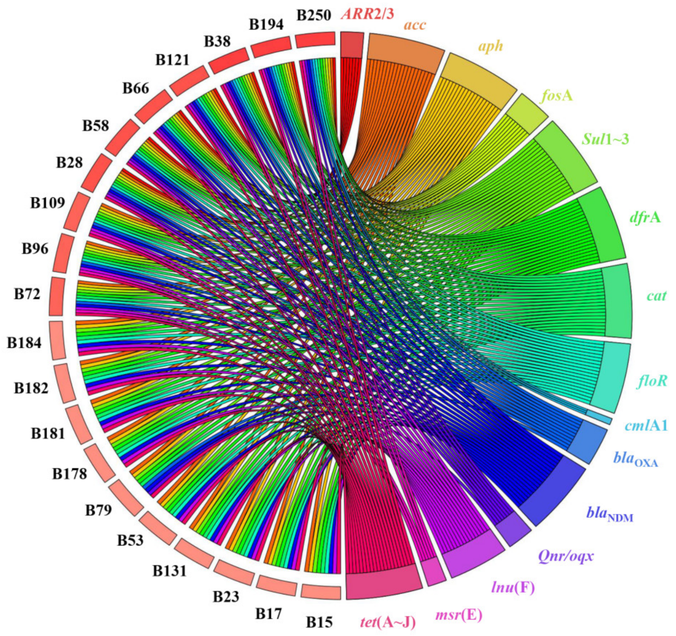 Microorganisms 09 02443 g001