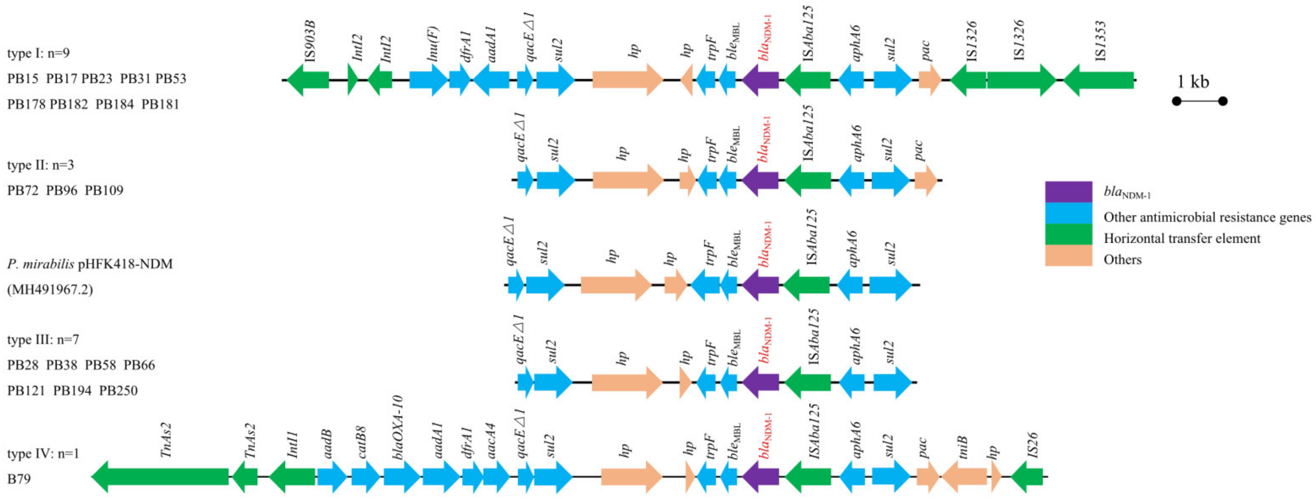 Microorganisms 09 02443 g006