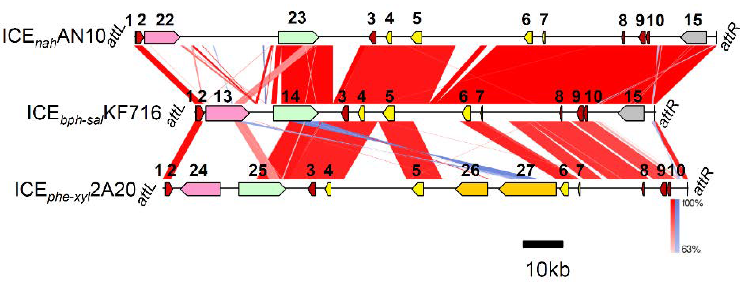 Microorganisms 09 02462 g005
