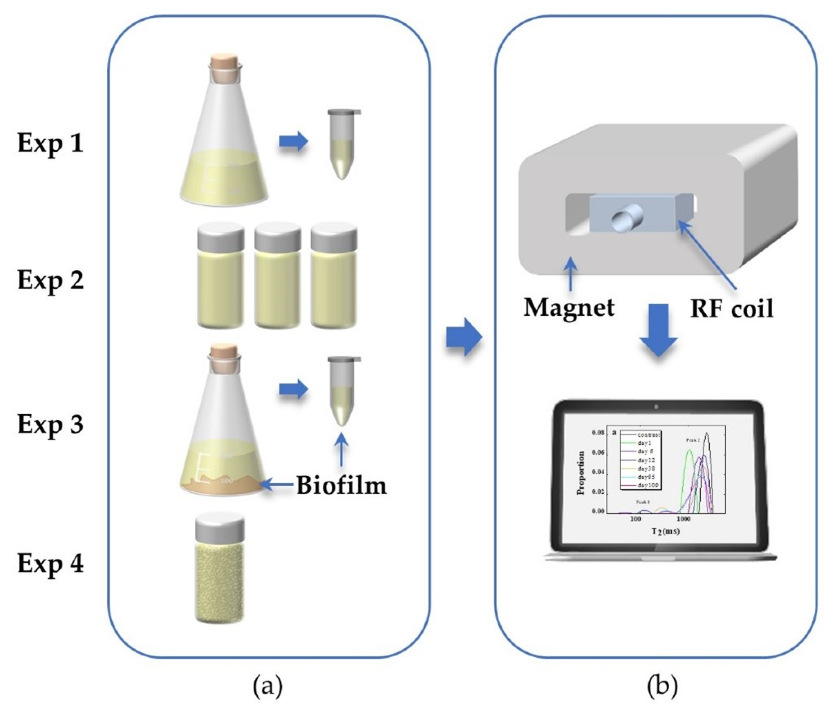 Microorganisms 09 02466 g001 Microorganisms 09 02466 g001
