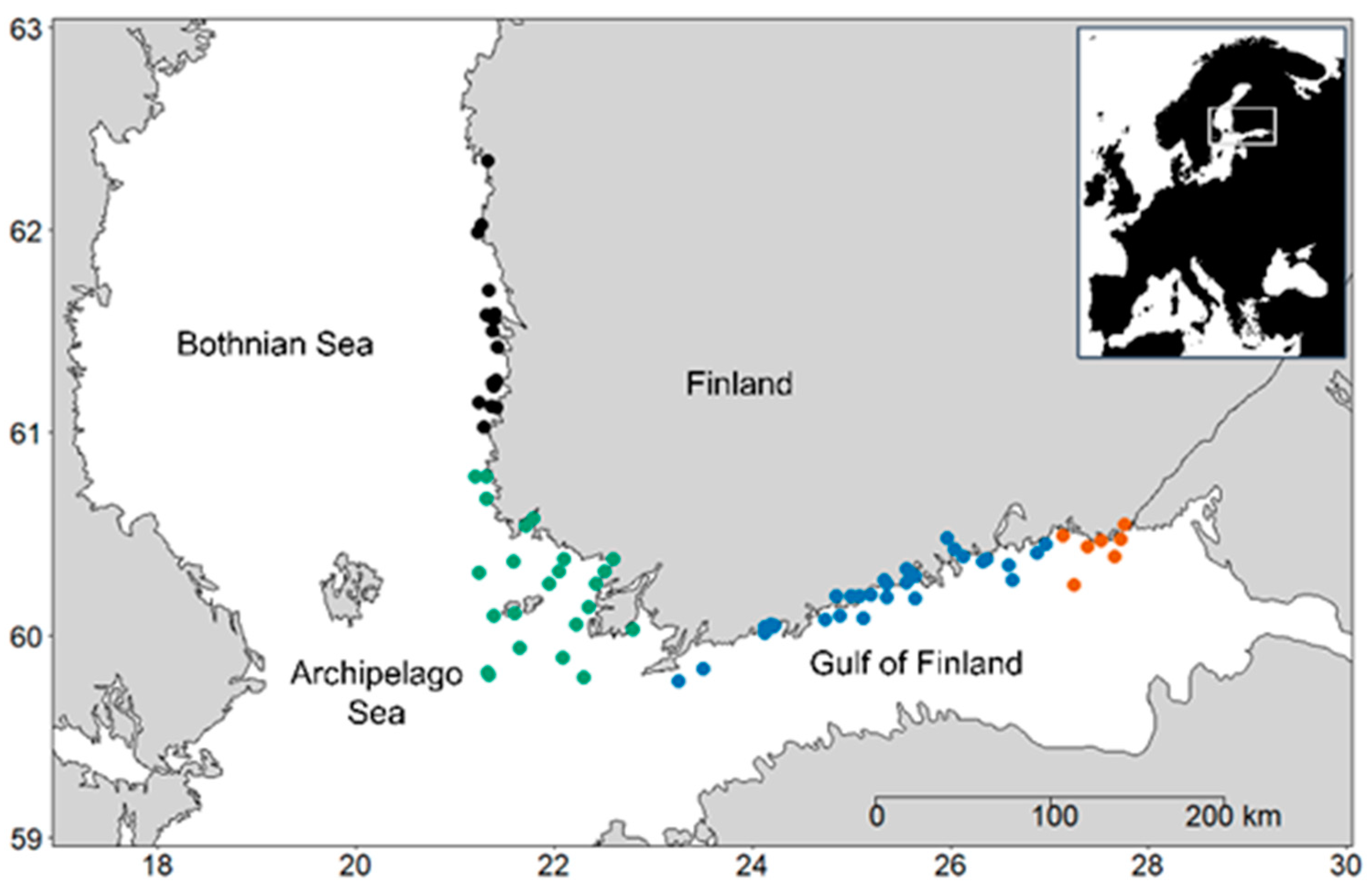 Microorganisms | Free Full-Text | Phytoplankton Morpho-Functional