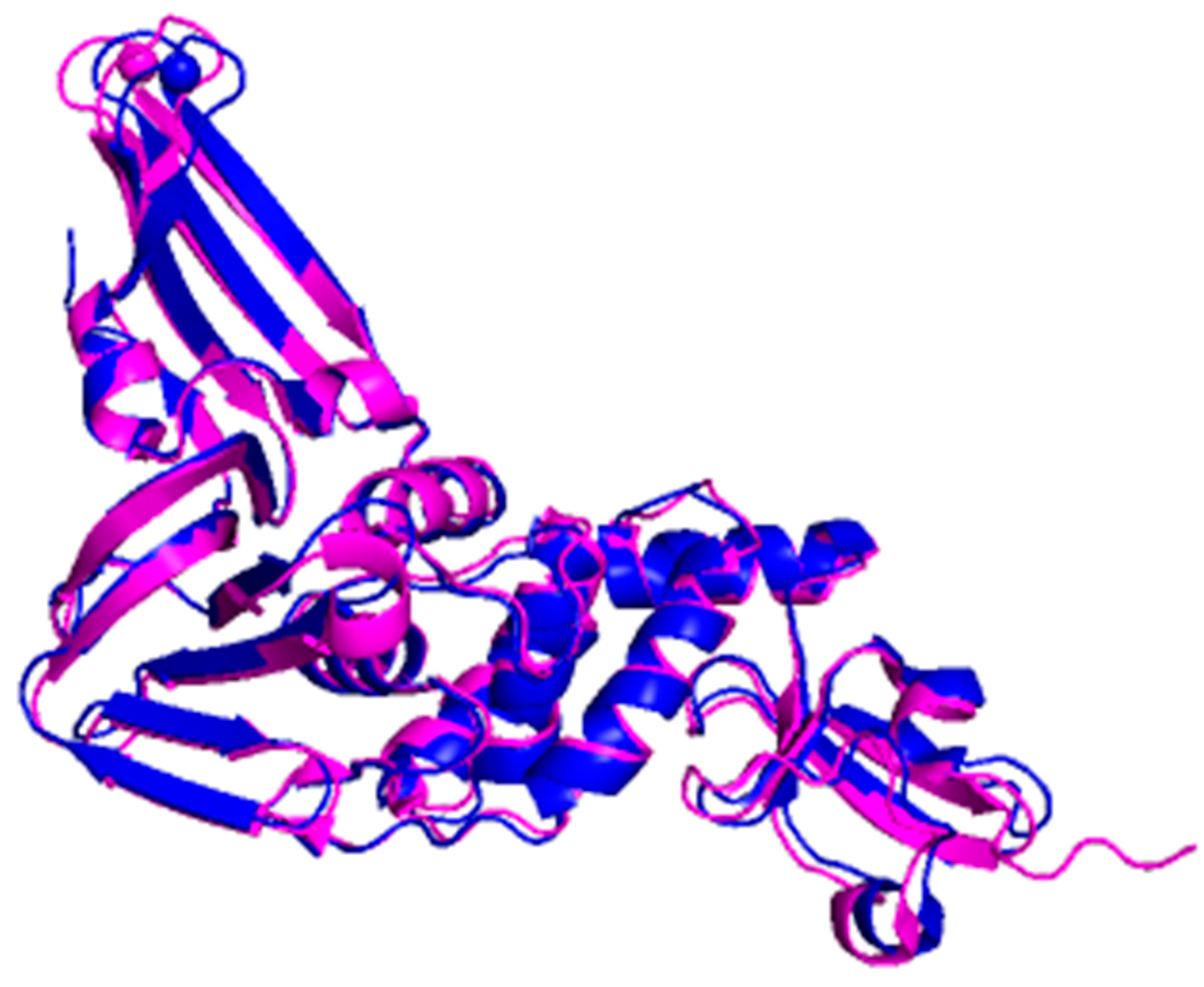 Microorganisms 09 02481 g007