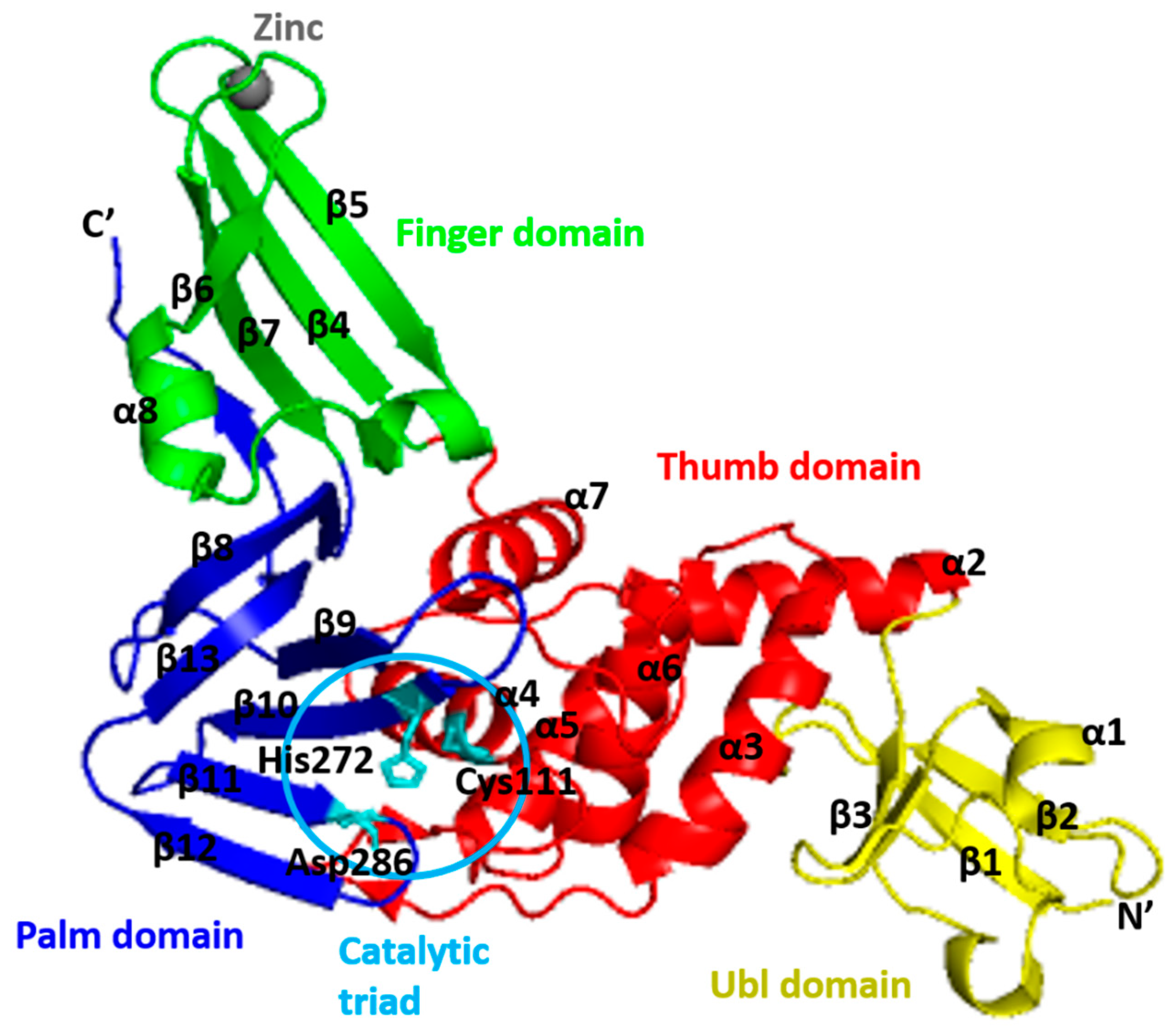Microorganisms 09 02481 g008
