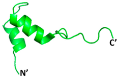 Microorganisms 09 02481 i009