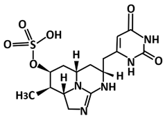 Microorganisms 09 02481 i013