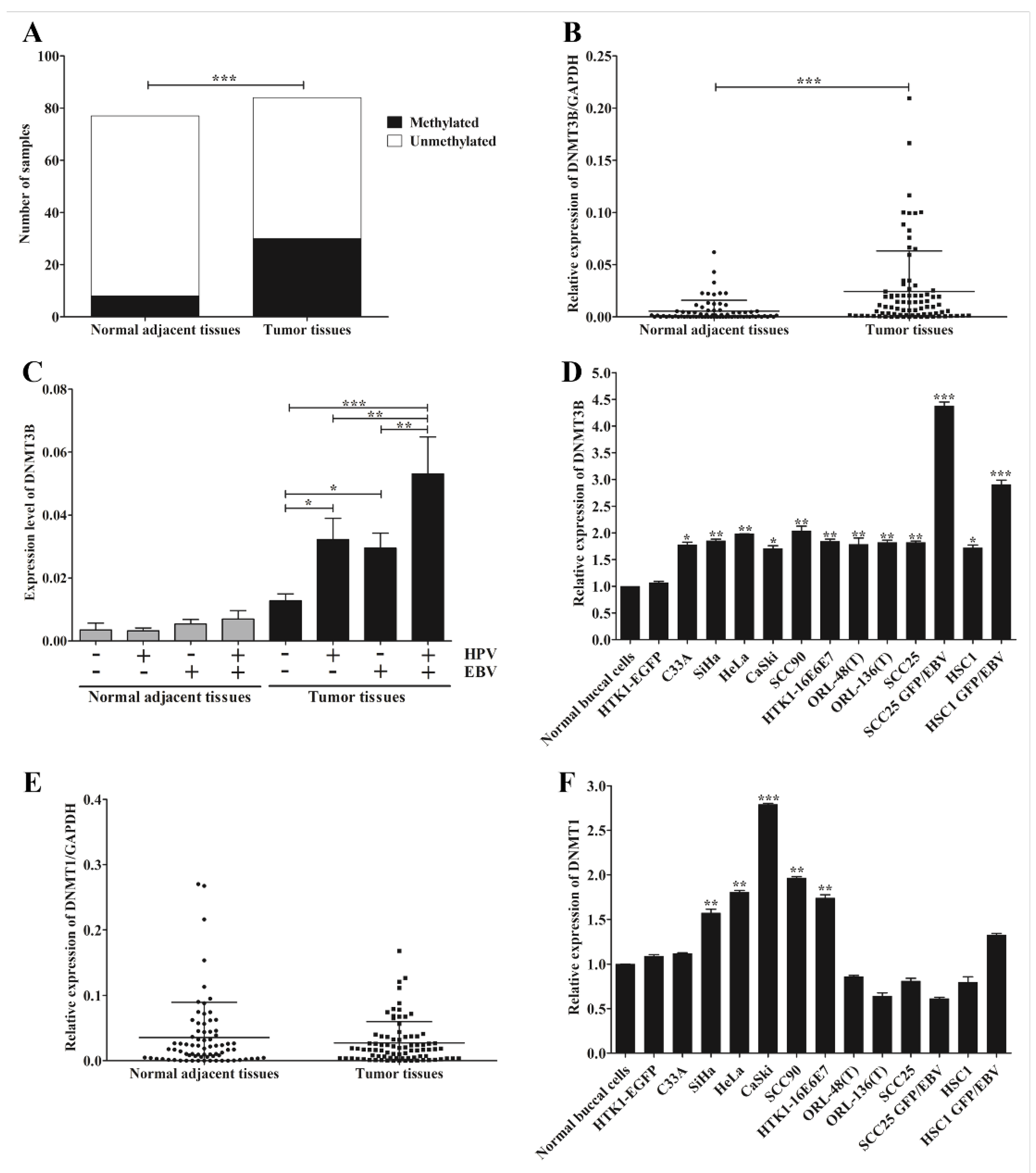 Microorganisms 09 02496 g004
