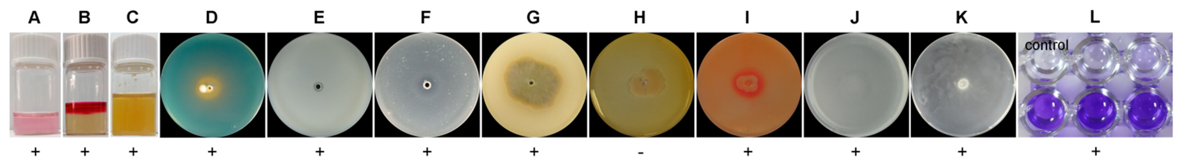 Microorganisms 09 02508 g001 Microorganisms 09 02508 g001