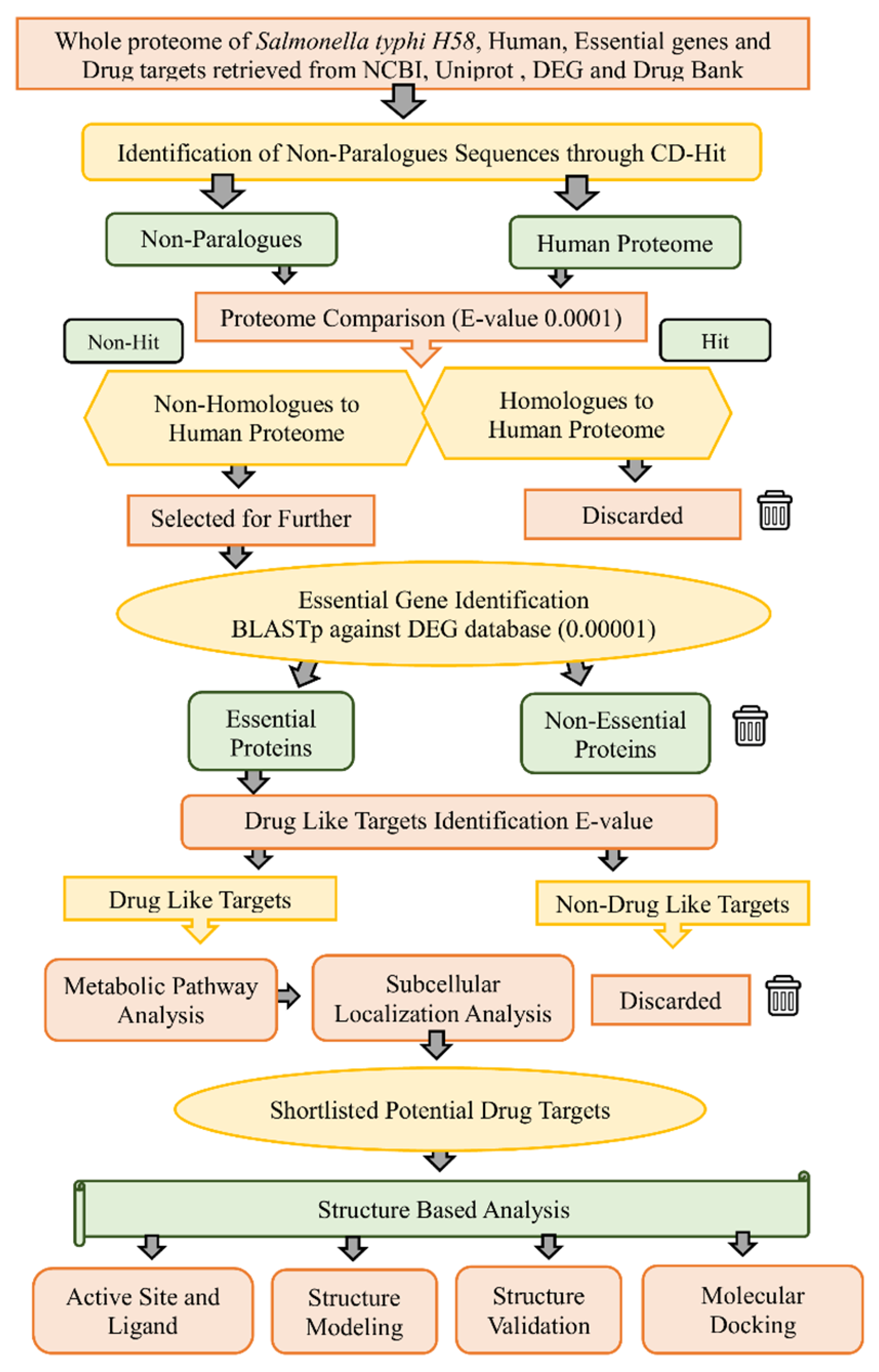 Microorganisms | Free Full-Text | Identification of a Novel