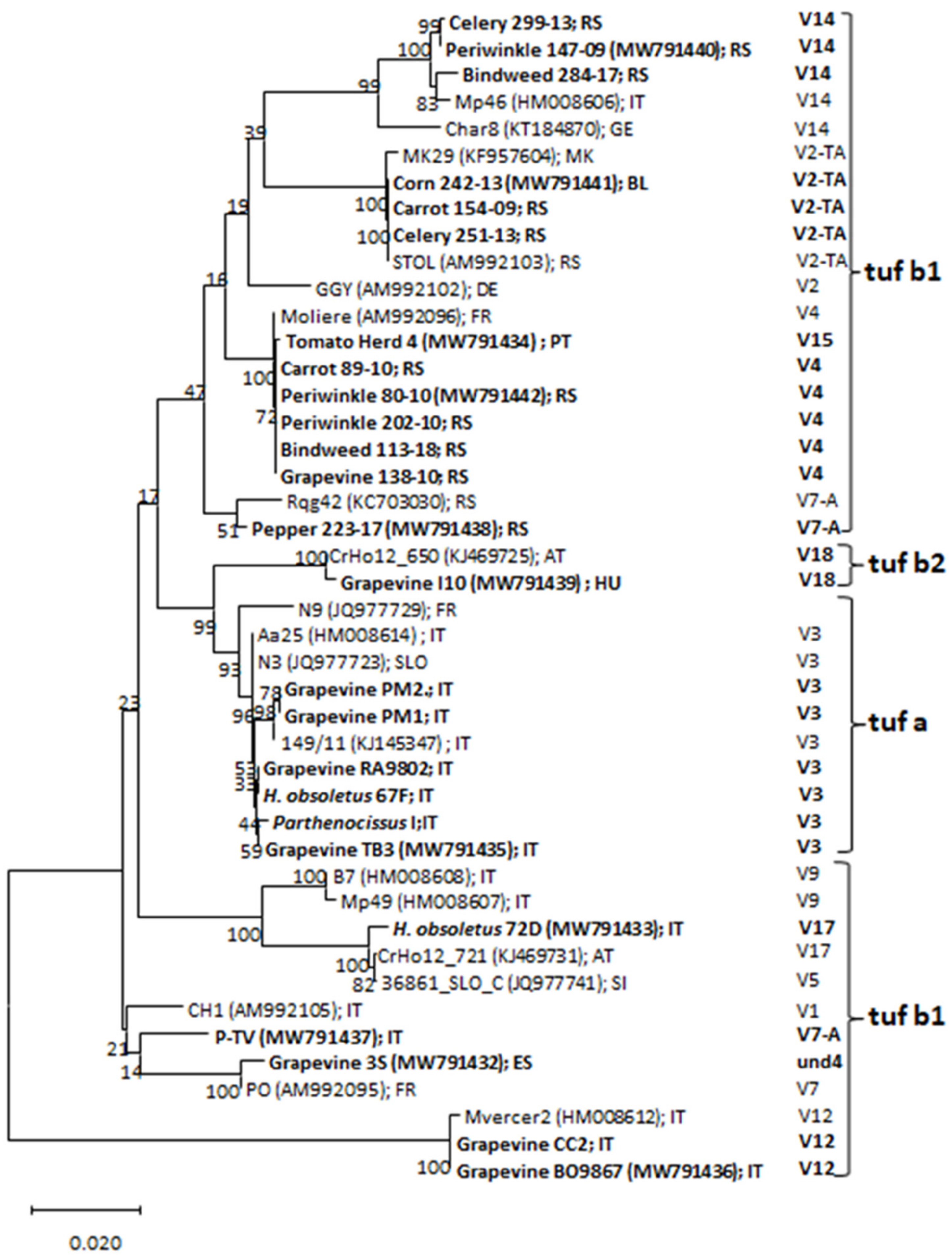 Microorganisms 09 02530 g001
