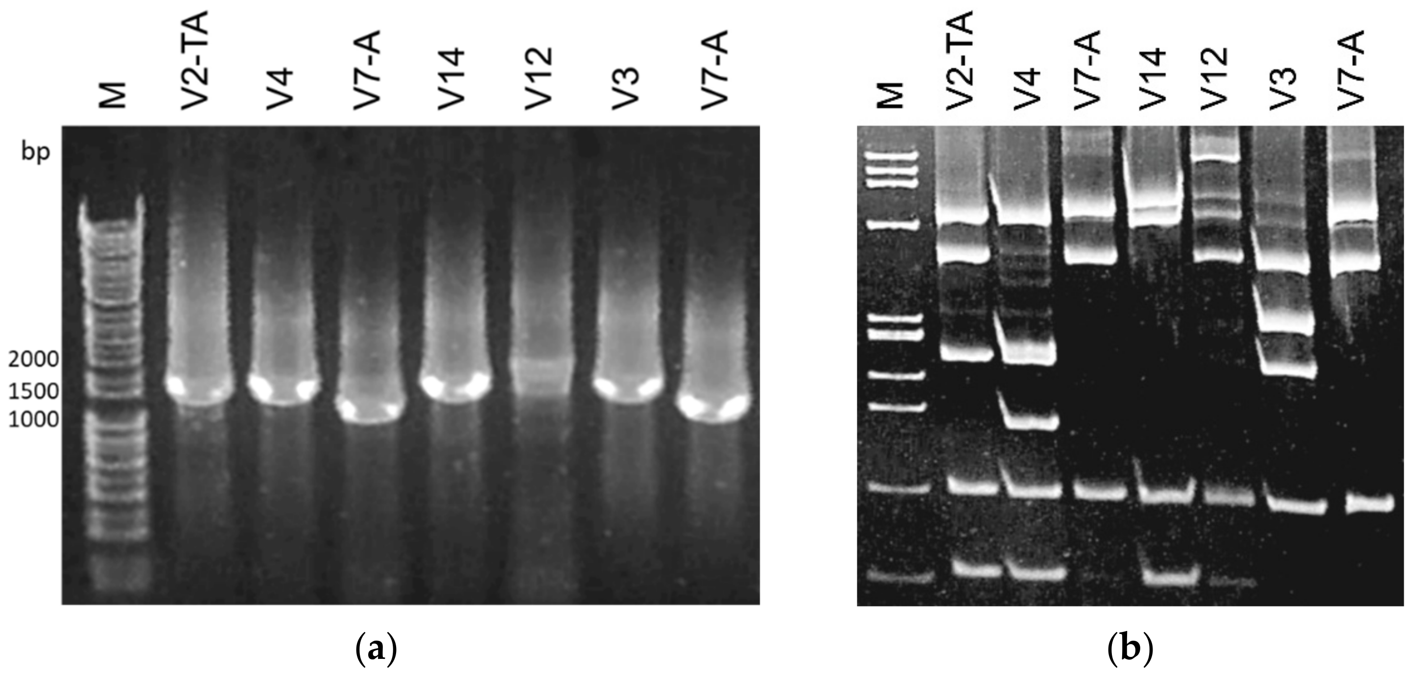 Microorganisms 09 02530 g002