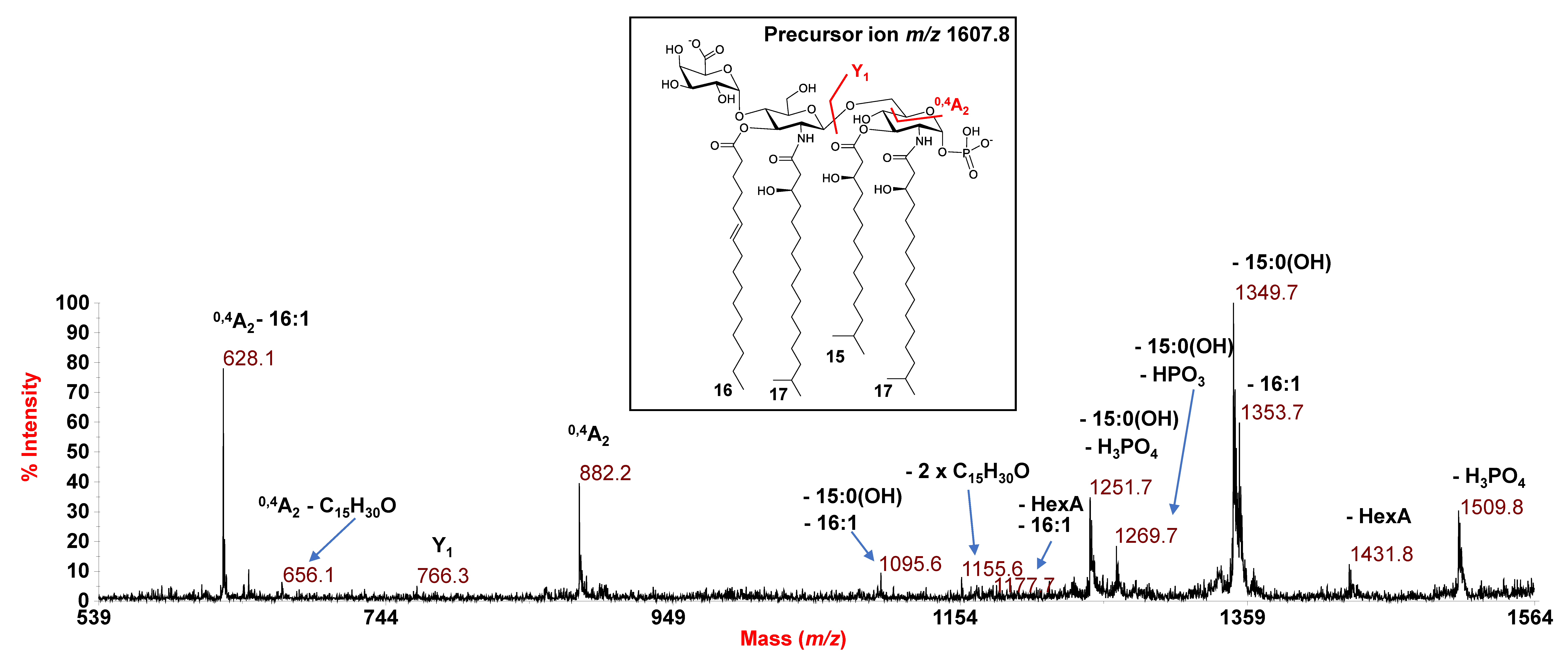 Microorganisms 09 02552 g002