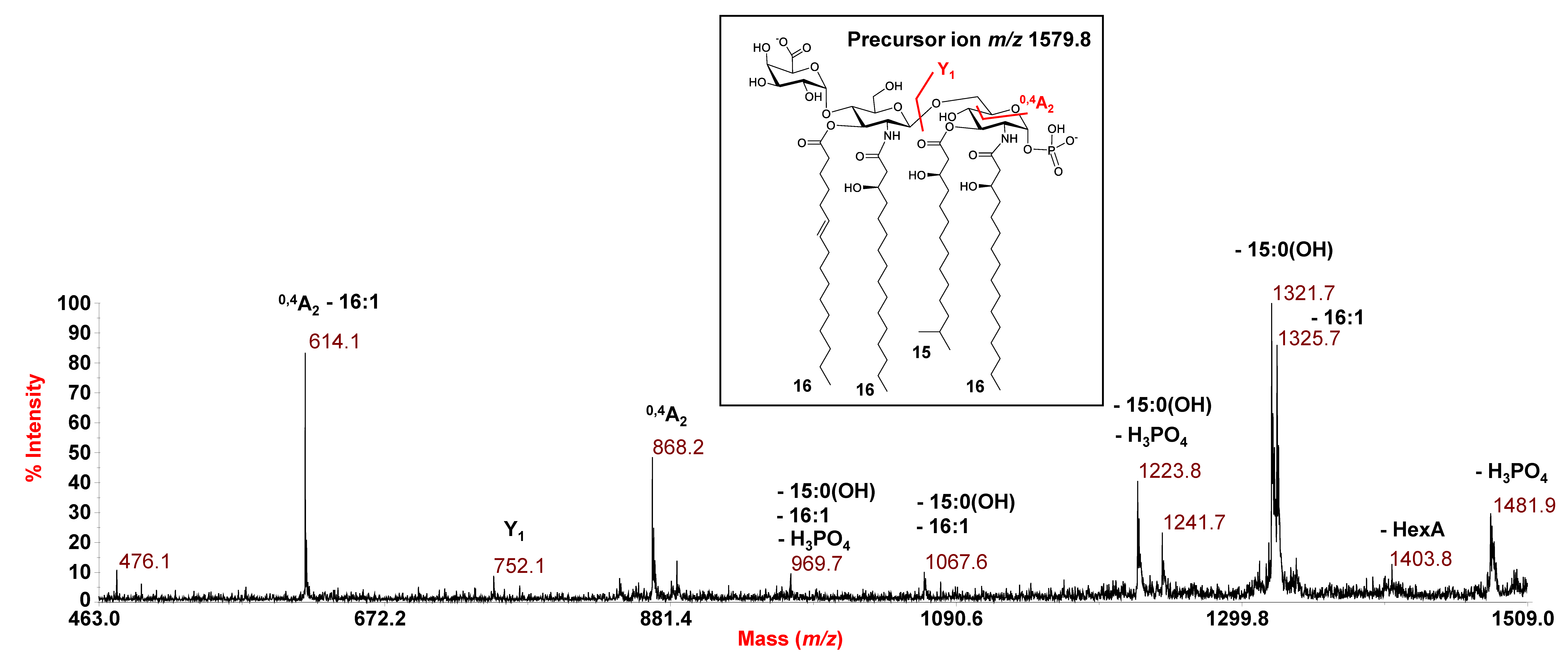 Microorganisms 09 02552 g005