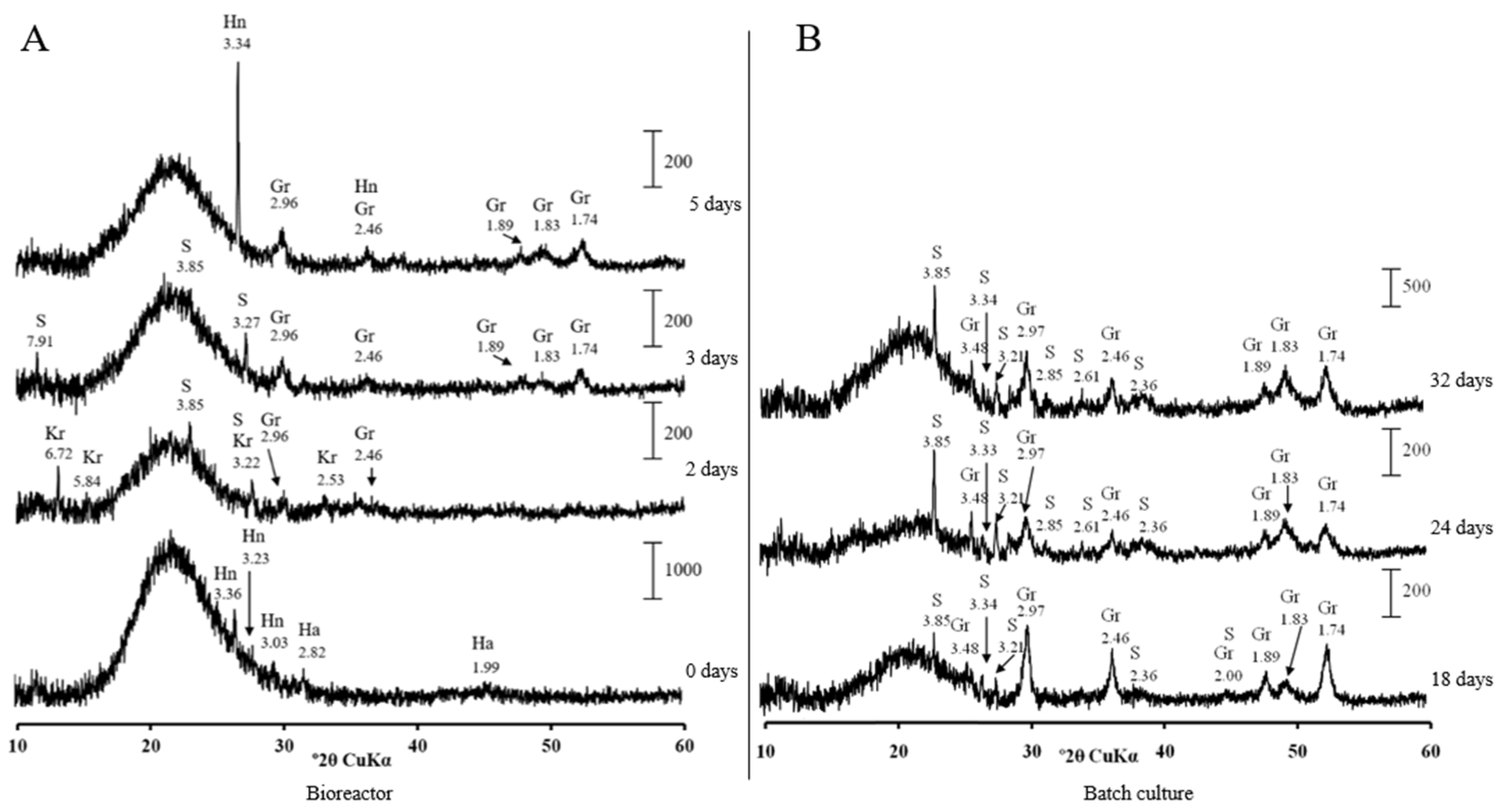 Microorganisms 09 02558 g005