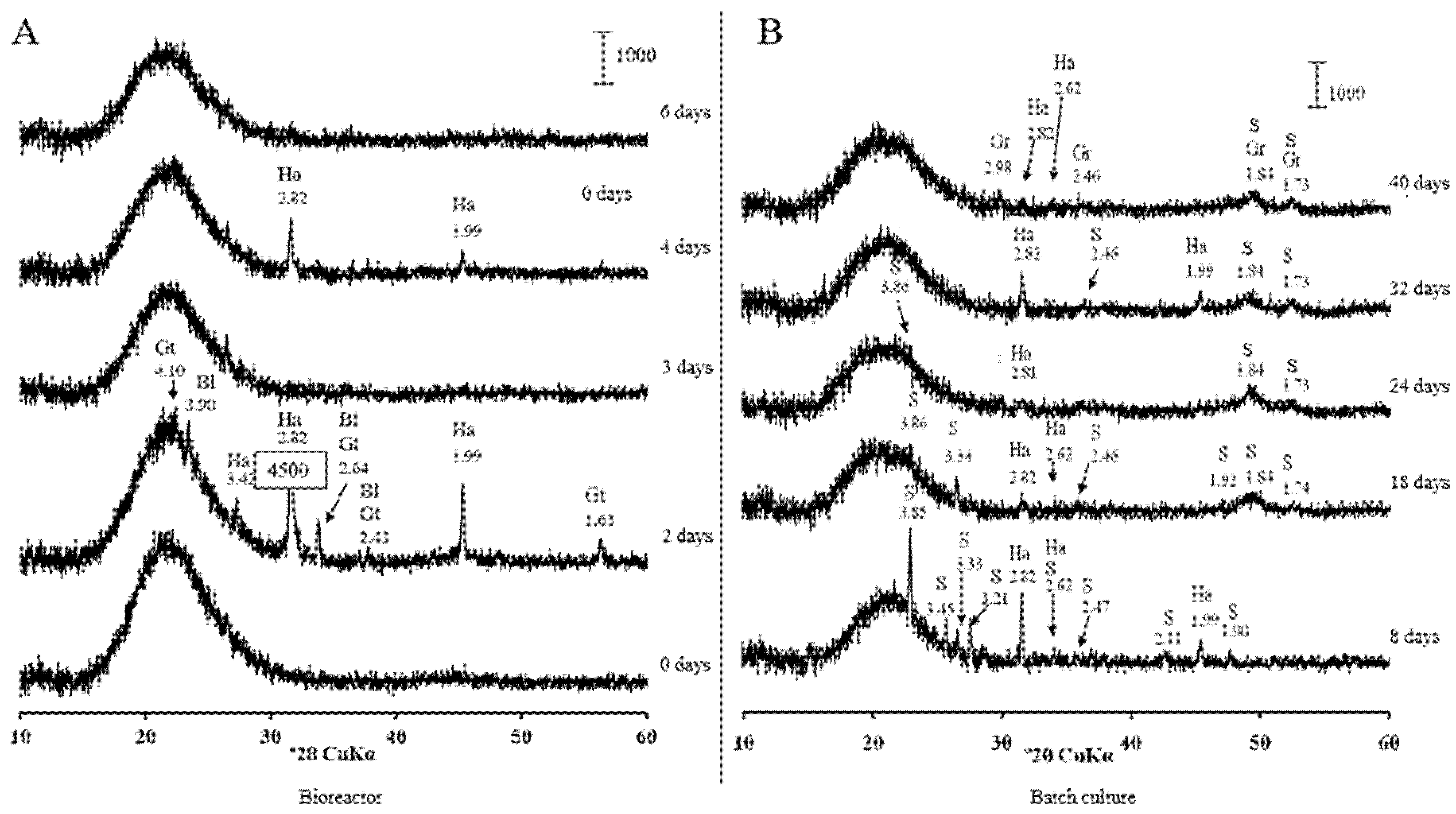 Microorganisms 09 02558 g007