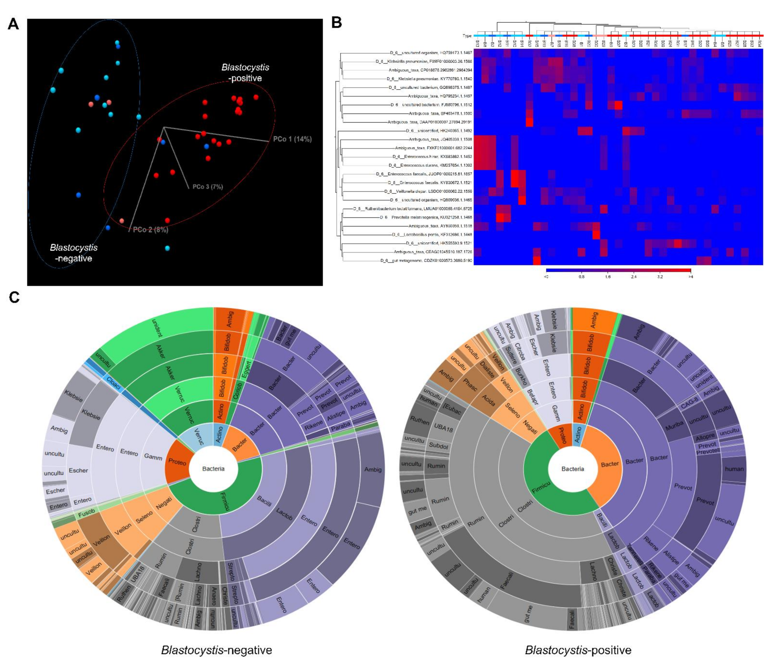 Microorganisms 10 00034 g002