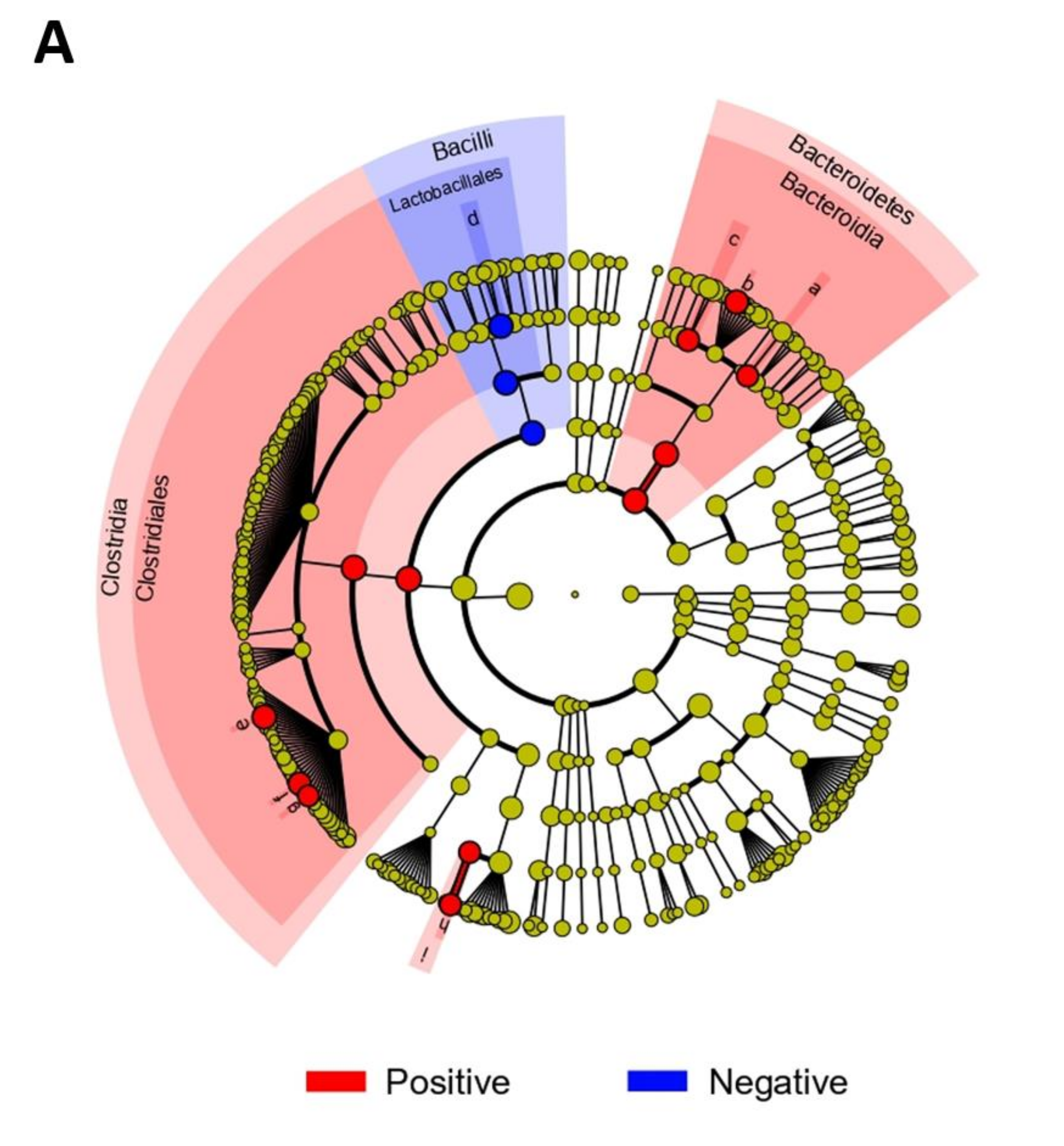 Microorganisms 10 00034 g003a
