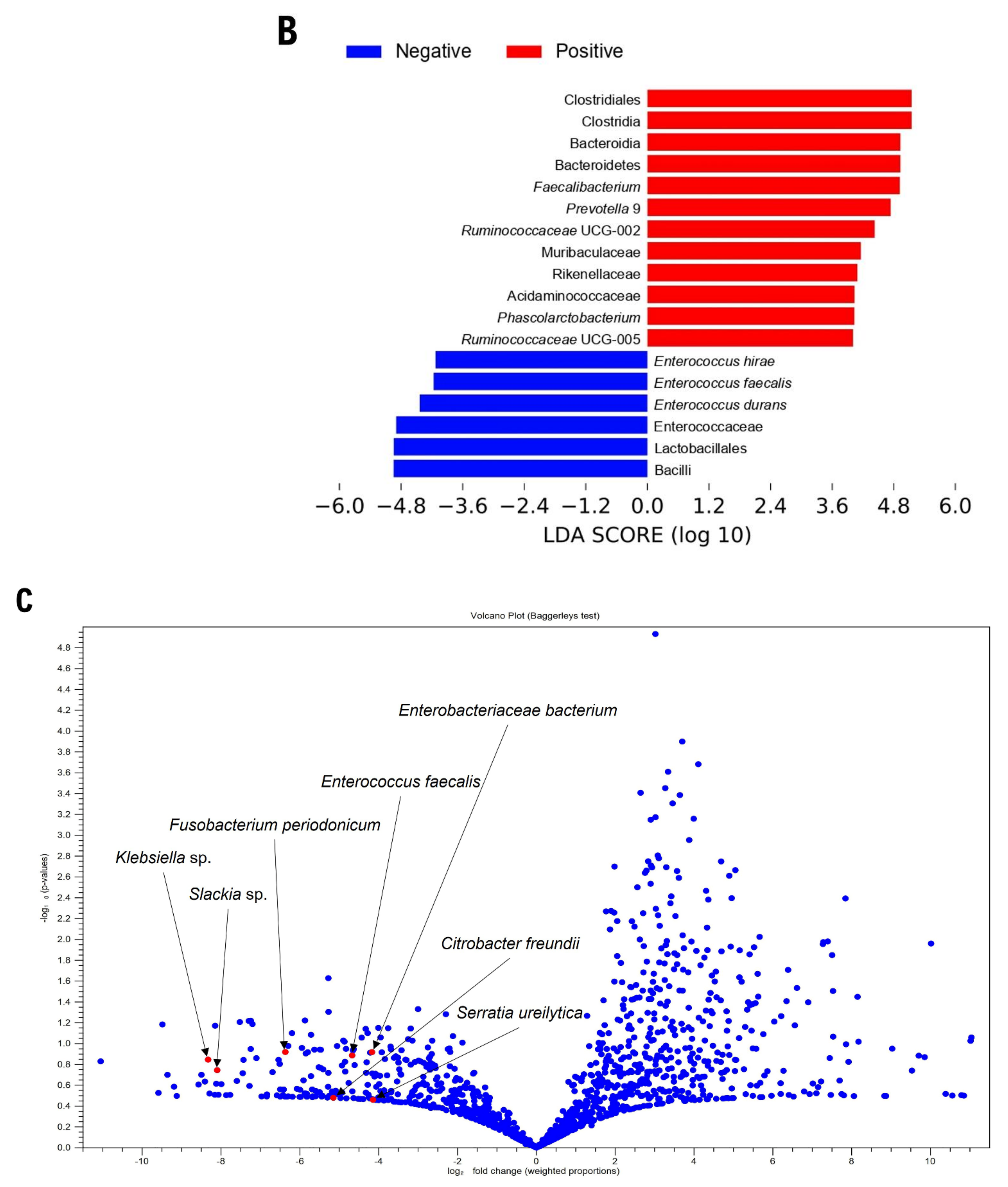 Microorganisms 10 00034 g003b