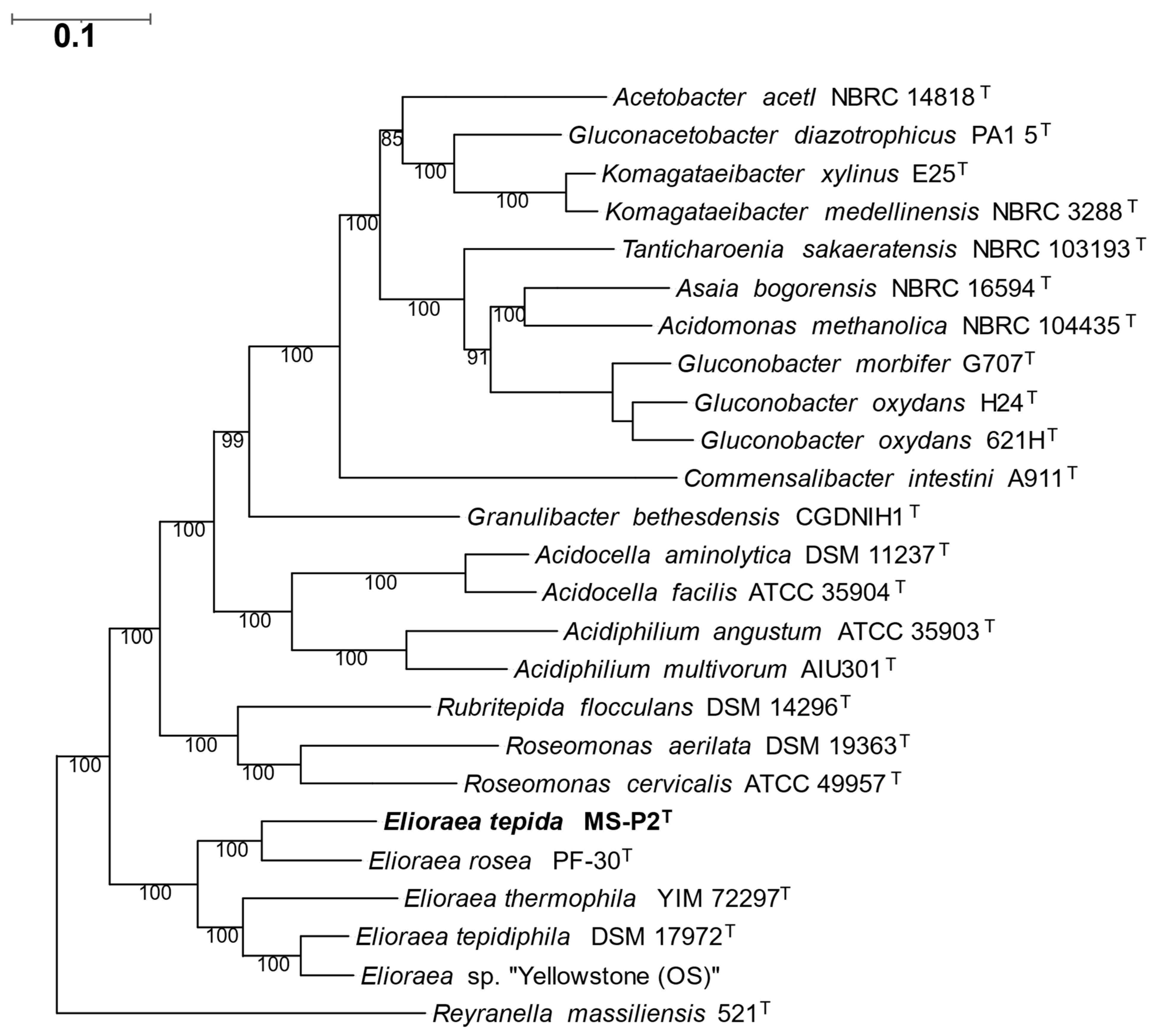 Microorganisms 10 00080 g006