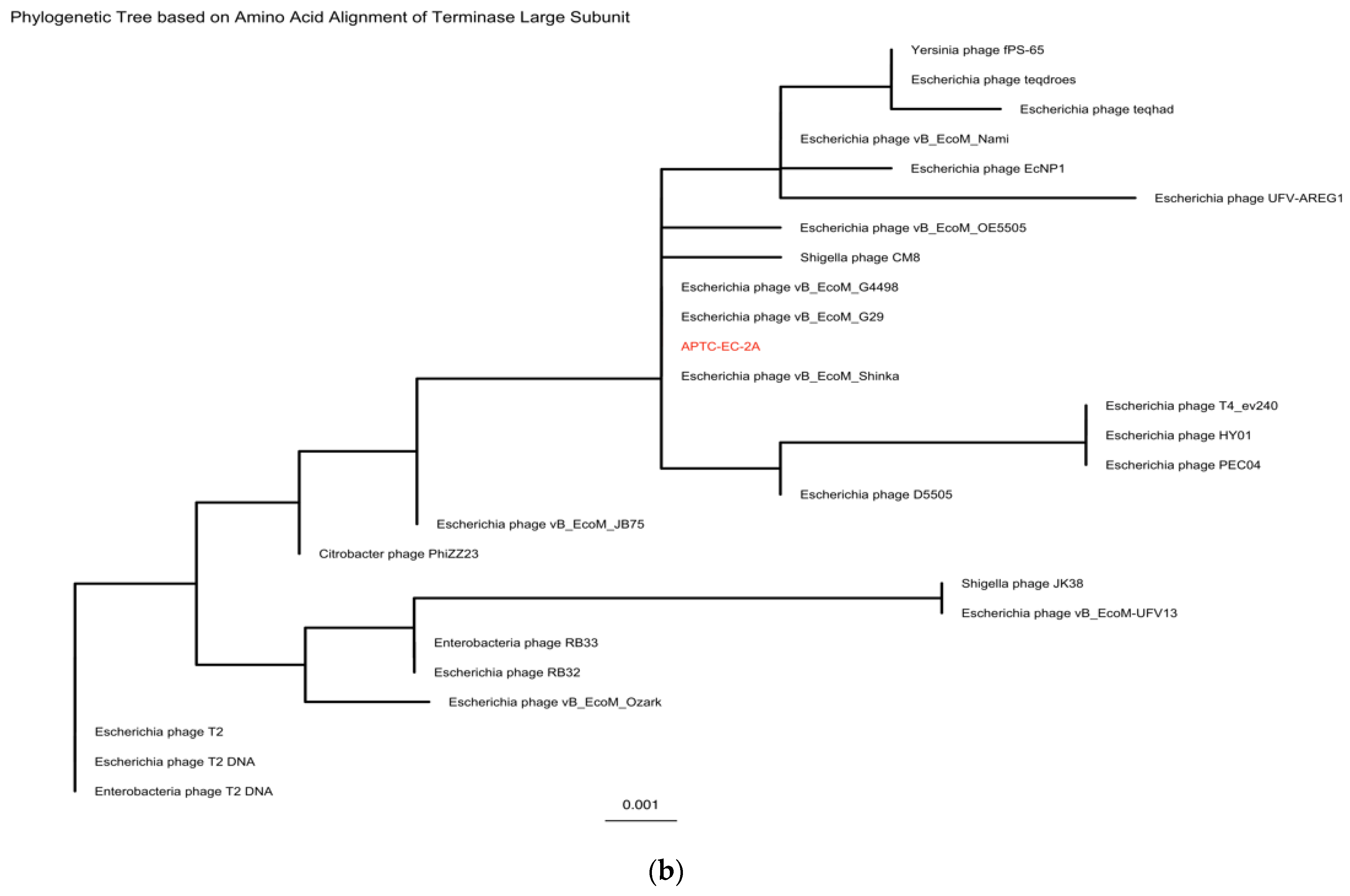 Microorganisms 10 00102 g007b