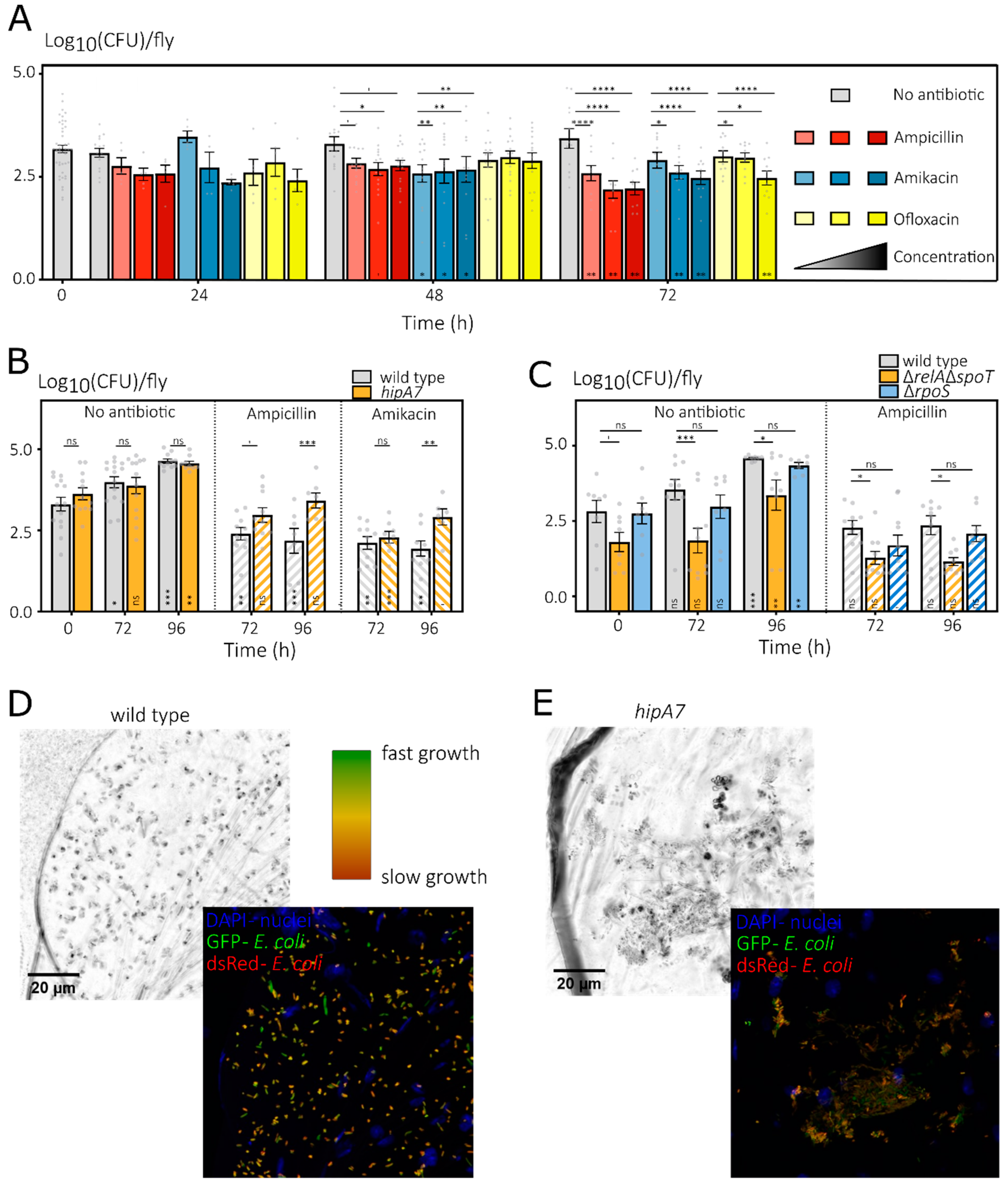 Microorganisms 10 00119 g003