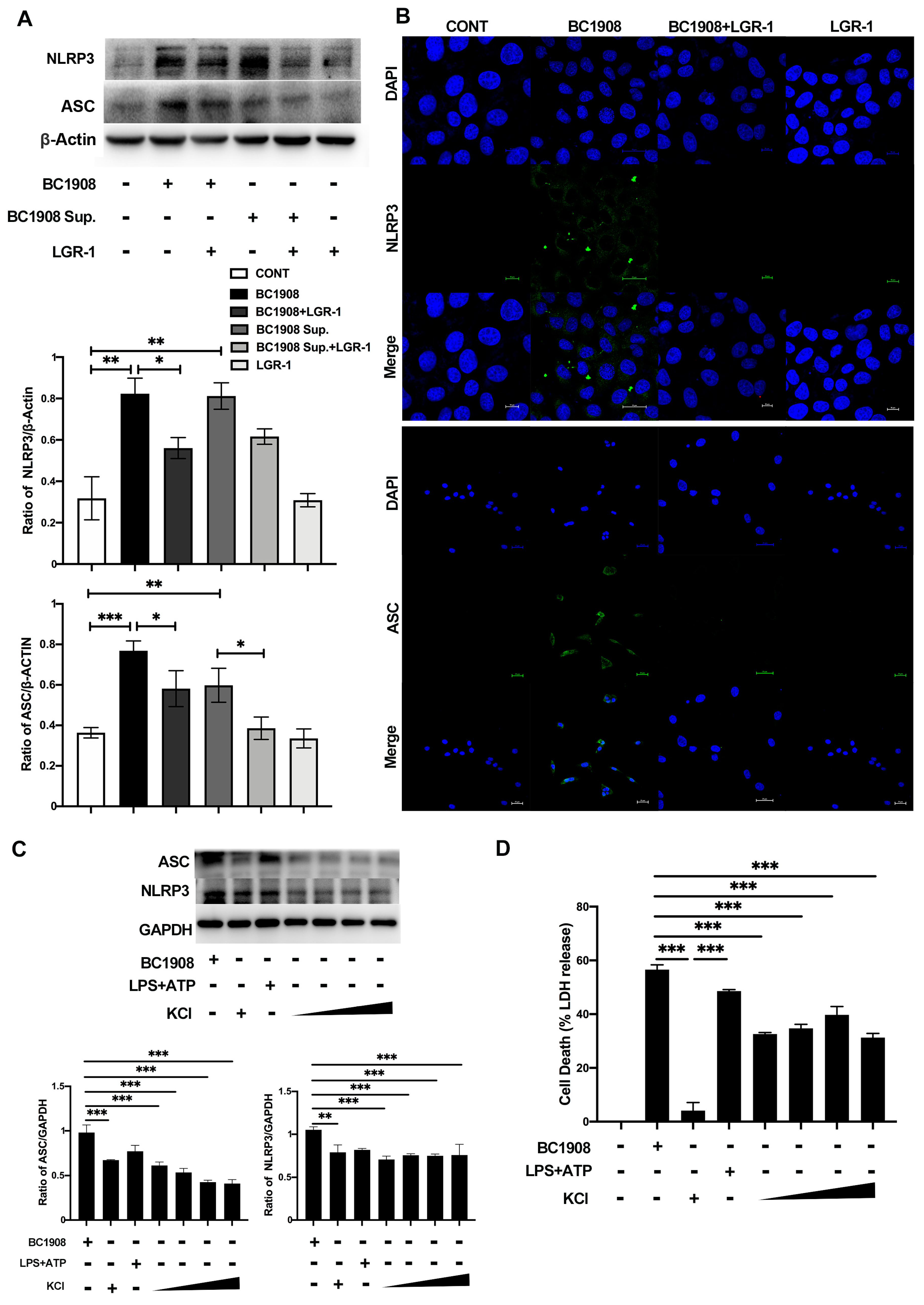 Microorganisms 10 00137 g003