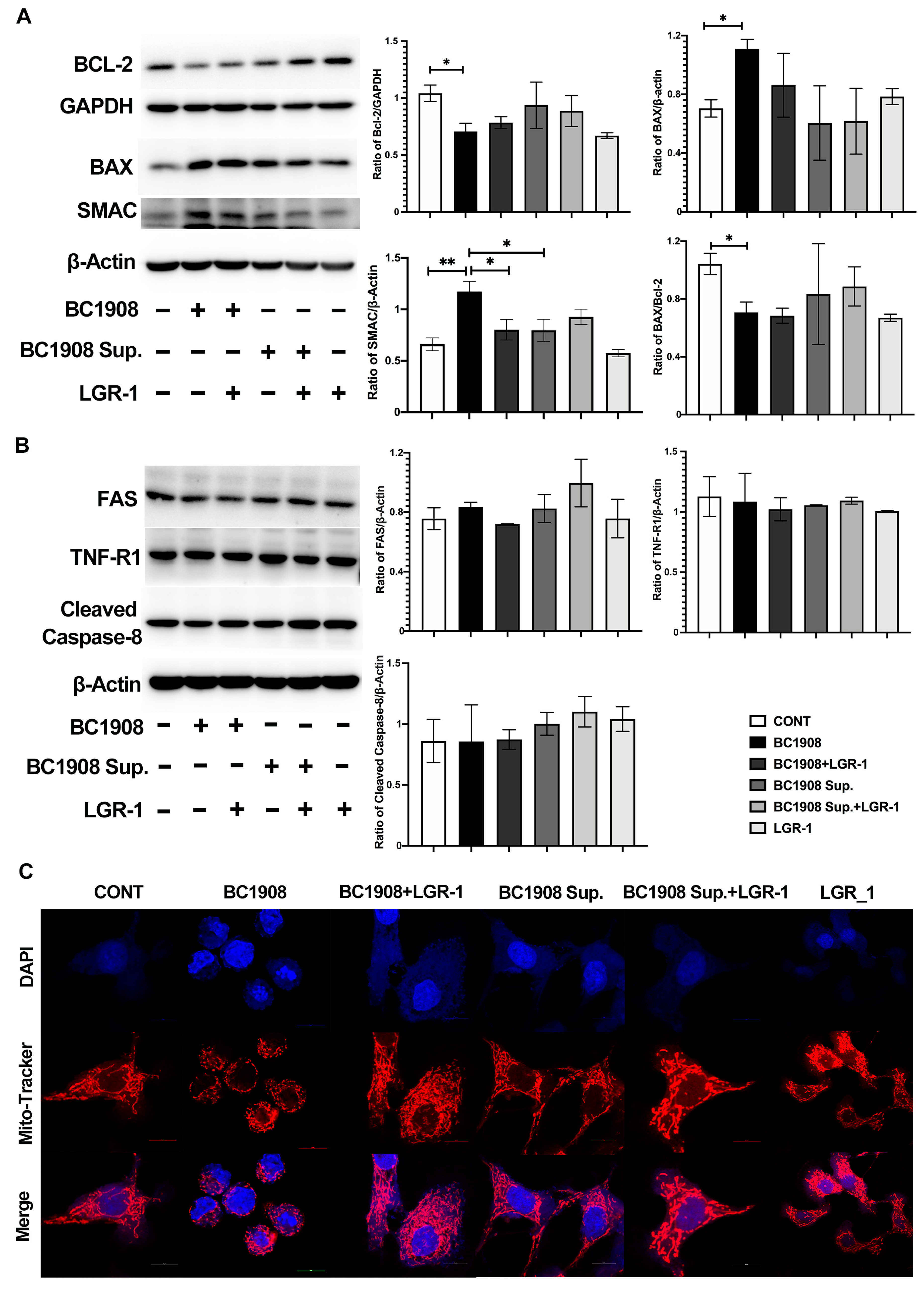 Microorganisms 10 00137 g006