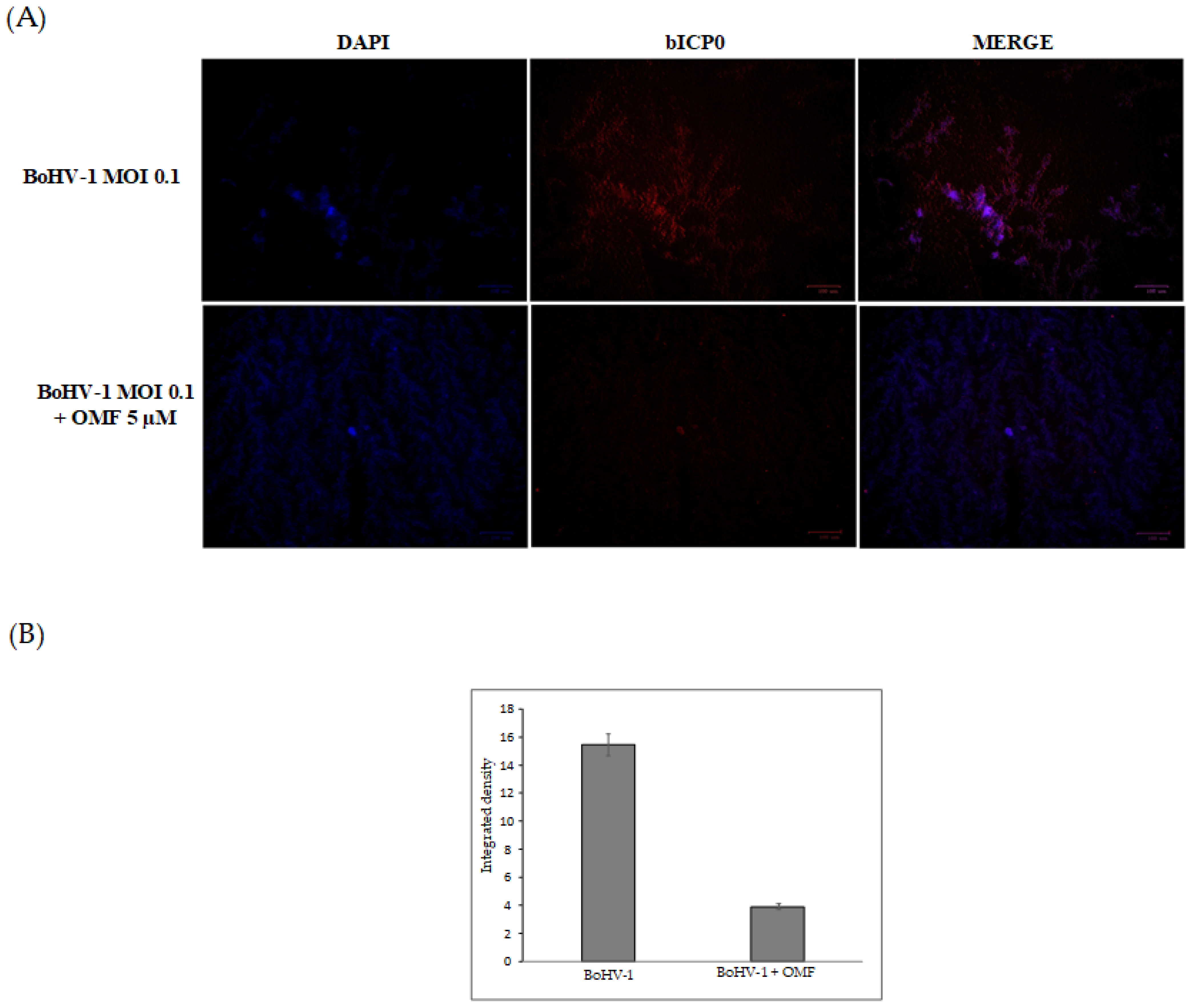 Microorganisms 10 00188 g006