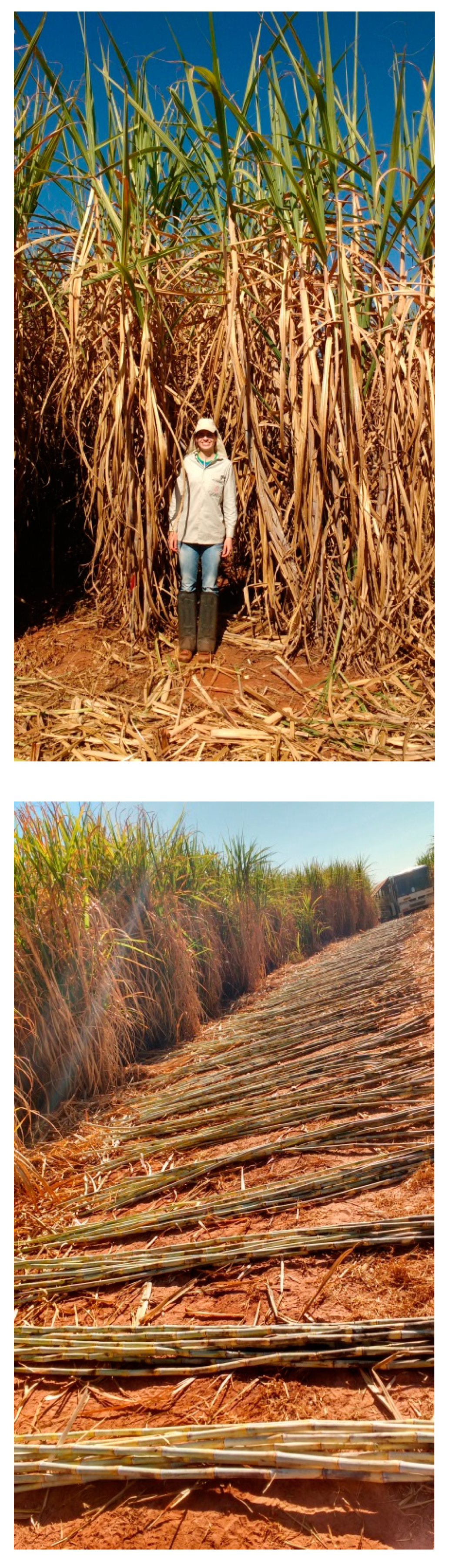 Microorganisms 10 00192 g0a1b