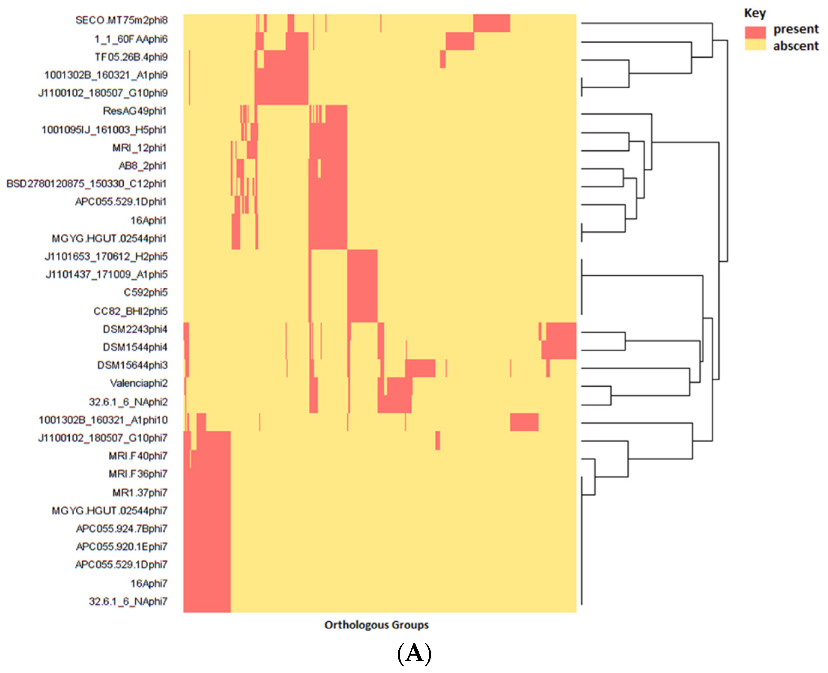 Microorganisms 10 00195 g004a Microorganisms 10 00195 g004a