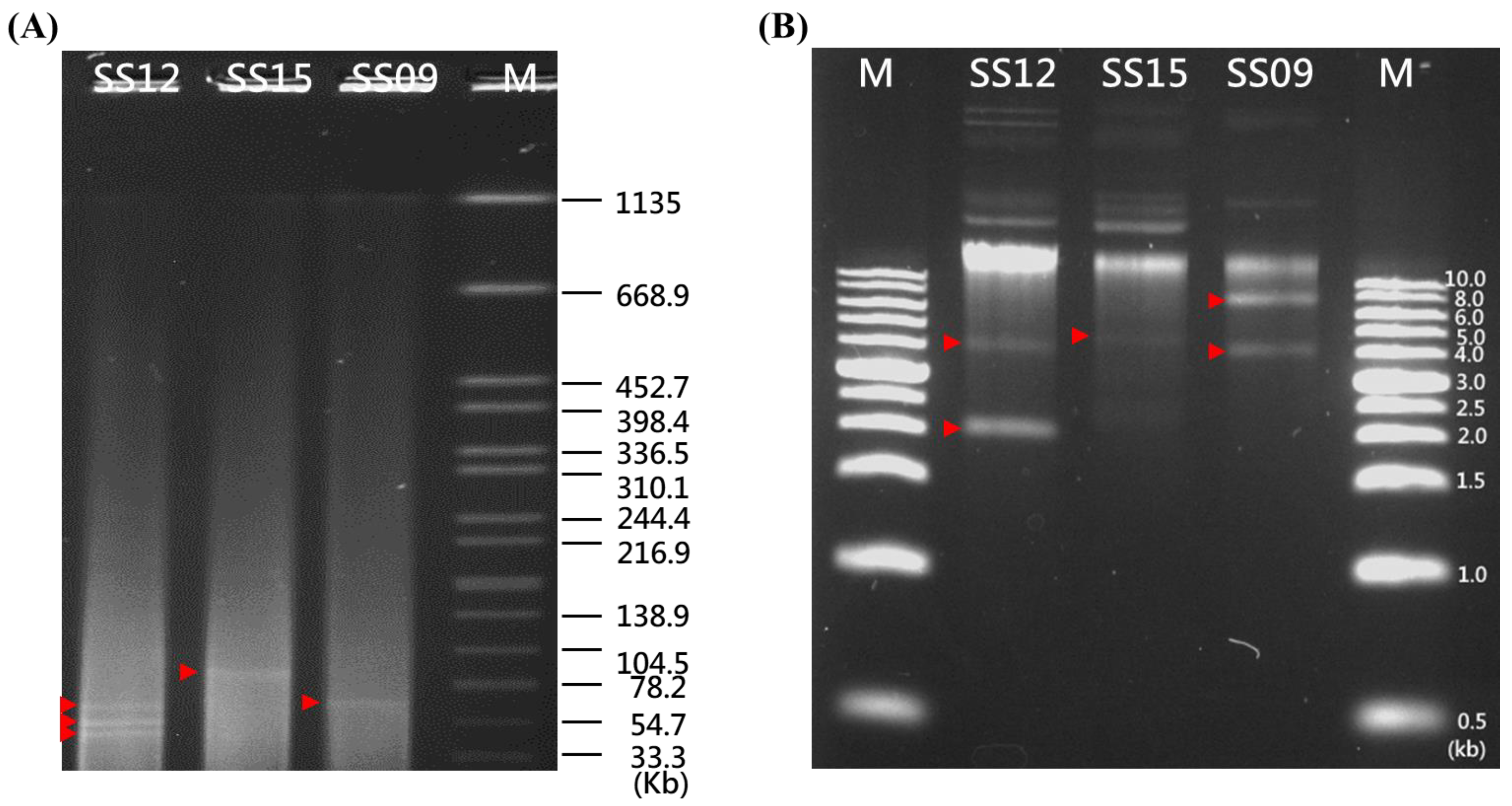 Microorganisms 10 00227 g004