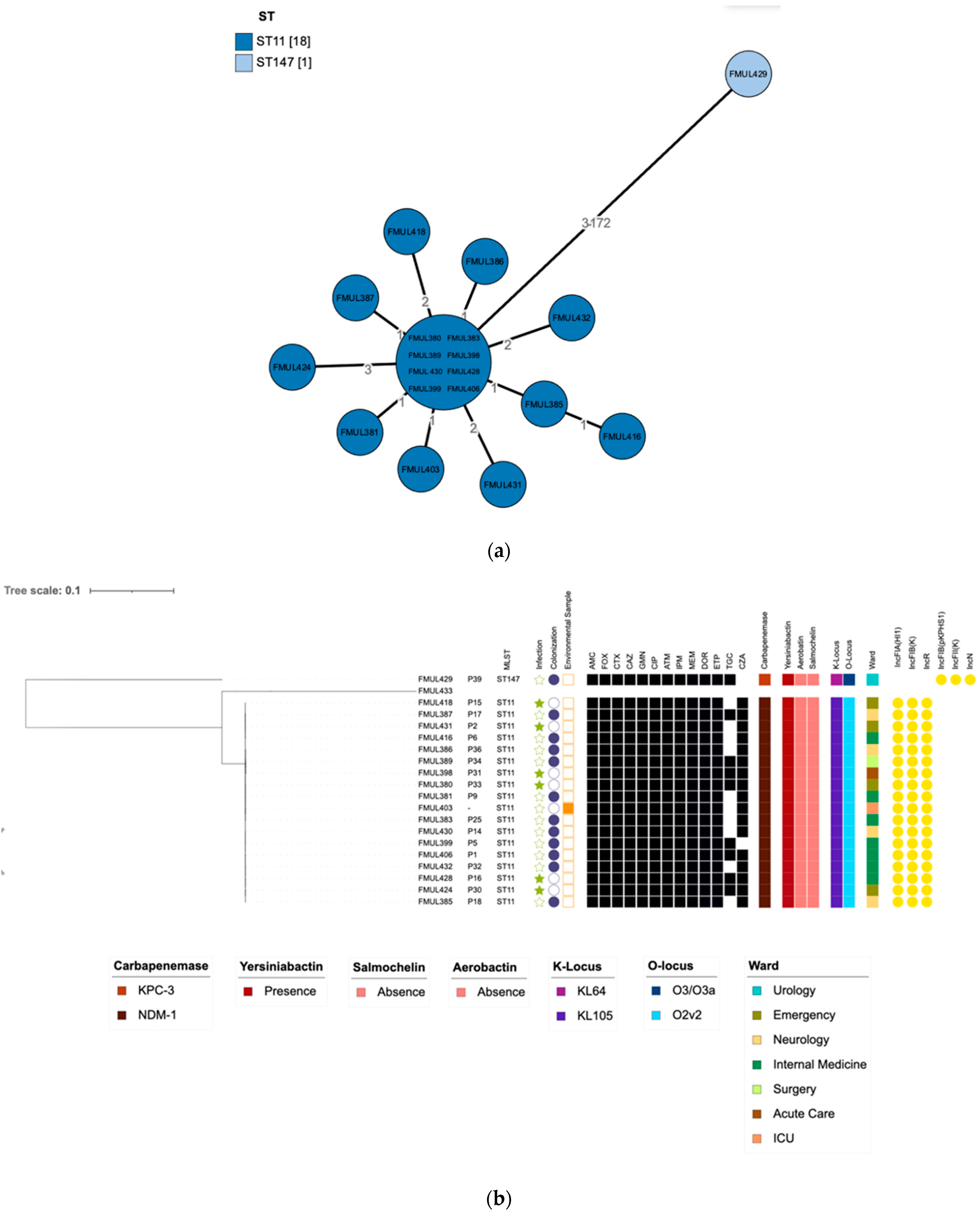 Microorganisms | Free Full-Text | First Outbreak of NDM-1-Producing  Klebsiella pneumoniae ST11 in a Portuguese Hospital Centre during the  COVID-19 Pandemic