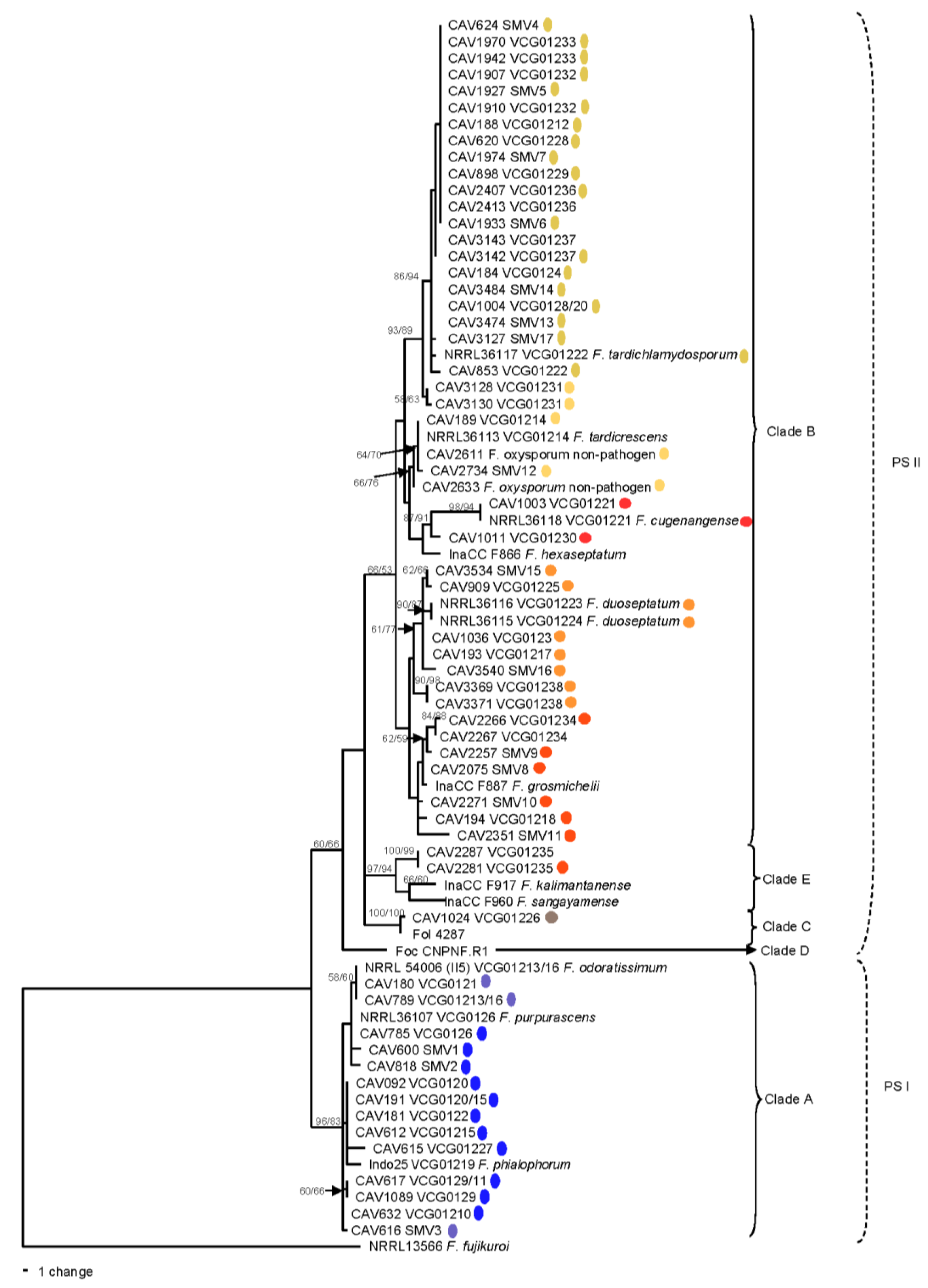 Microorganisms 10 00269 g001