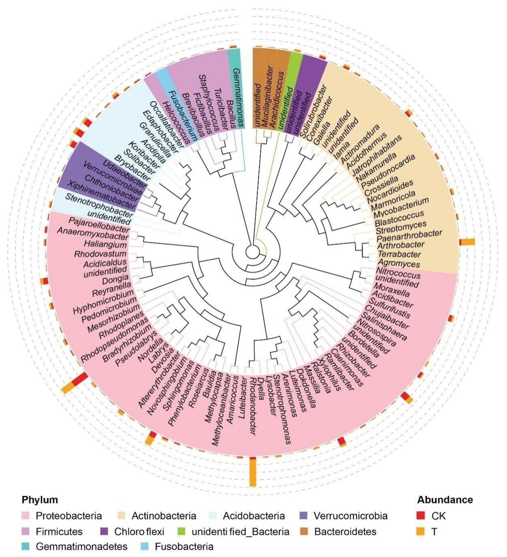 Microorganisms 10 00275 g005