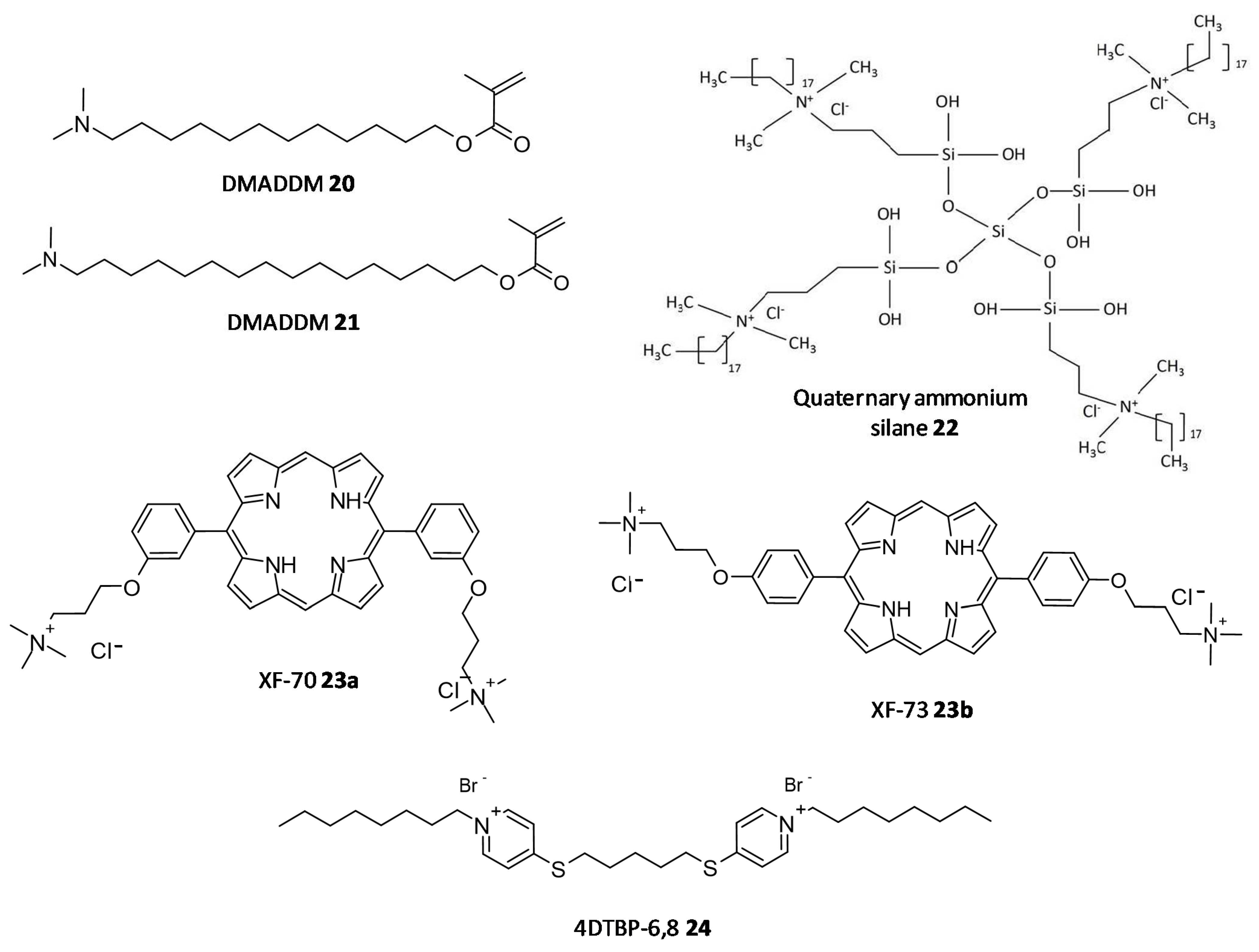 Microorganisms 10 00303 g011