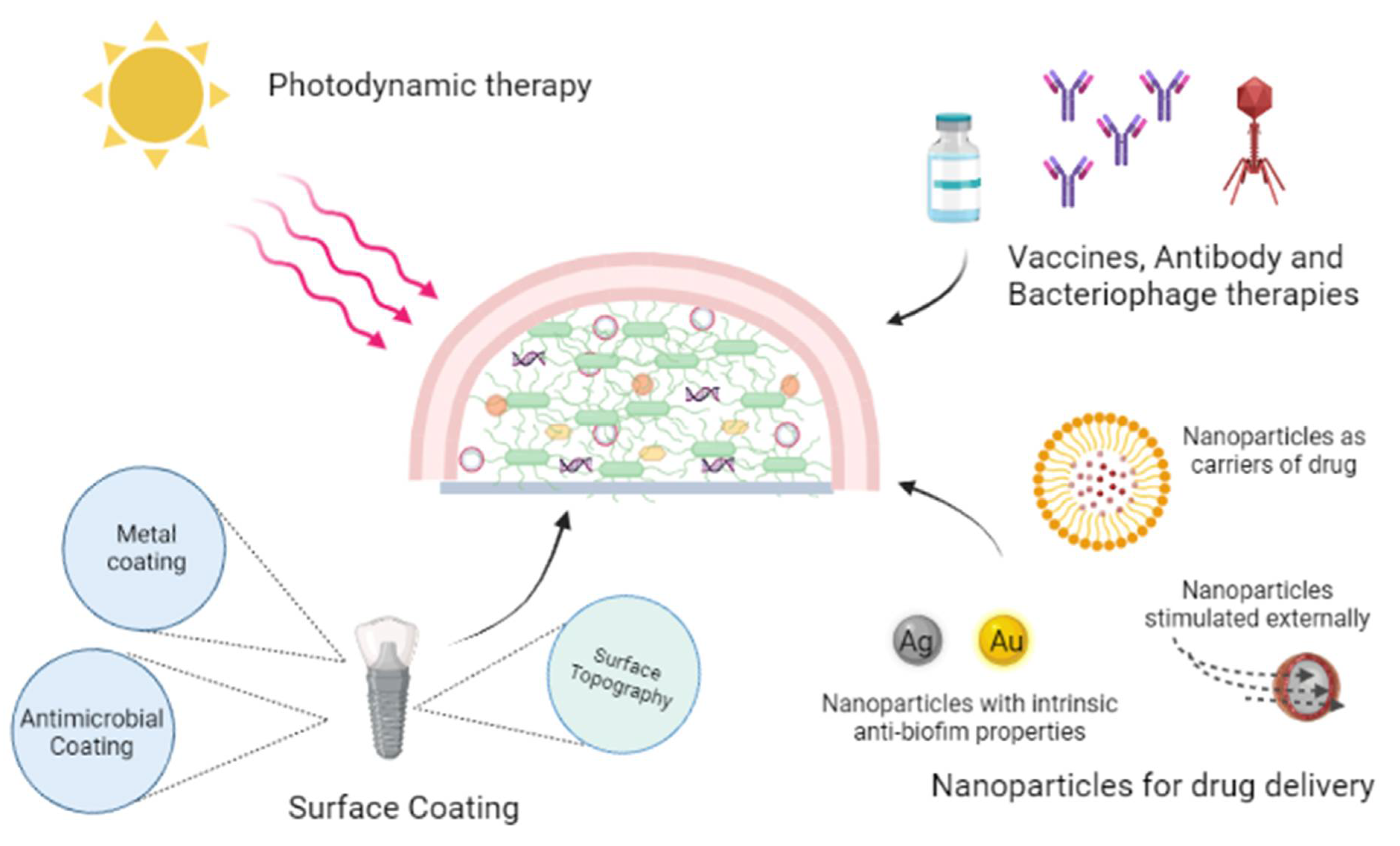 Microorganisms 10 00303 g013