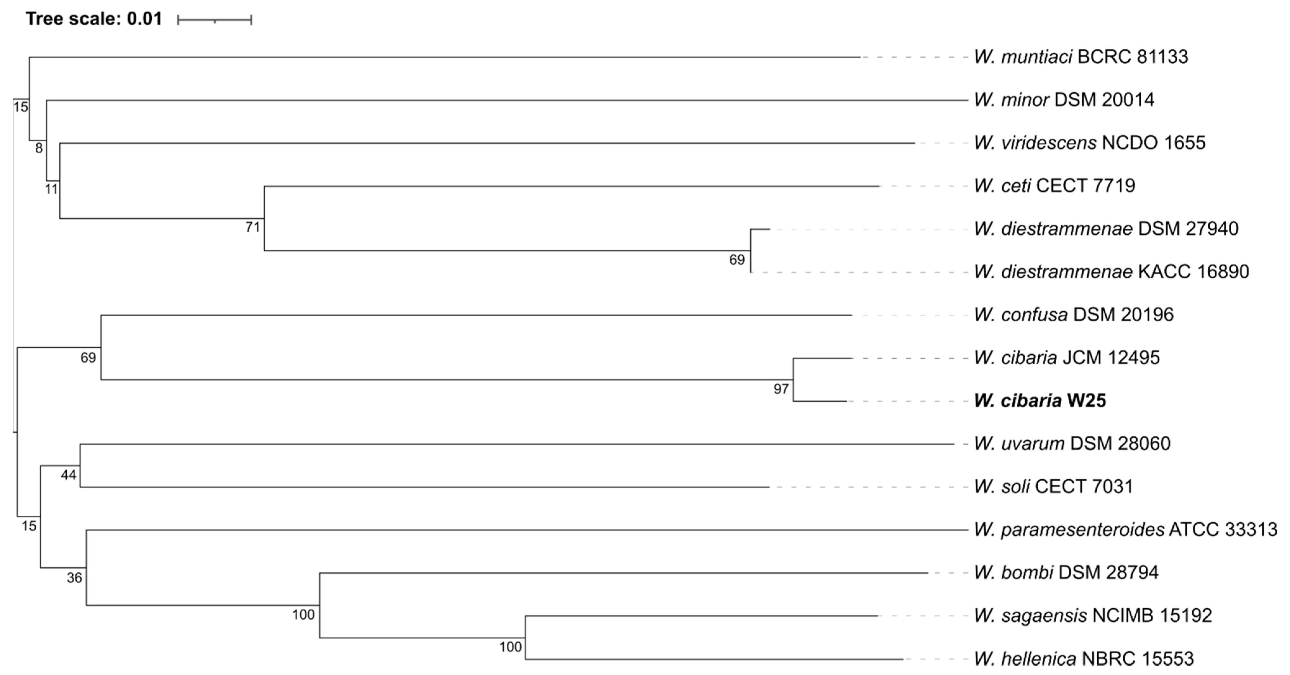 Microorganisms 10 00314 g001