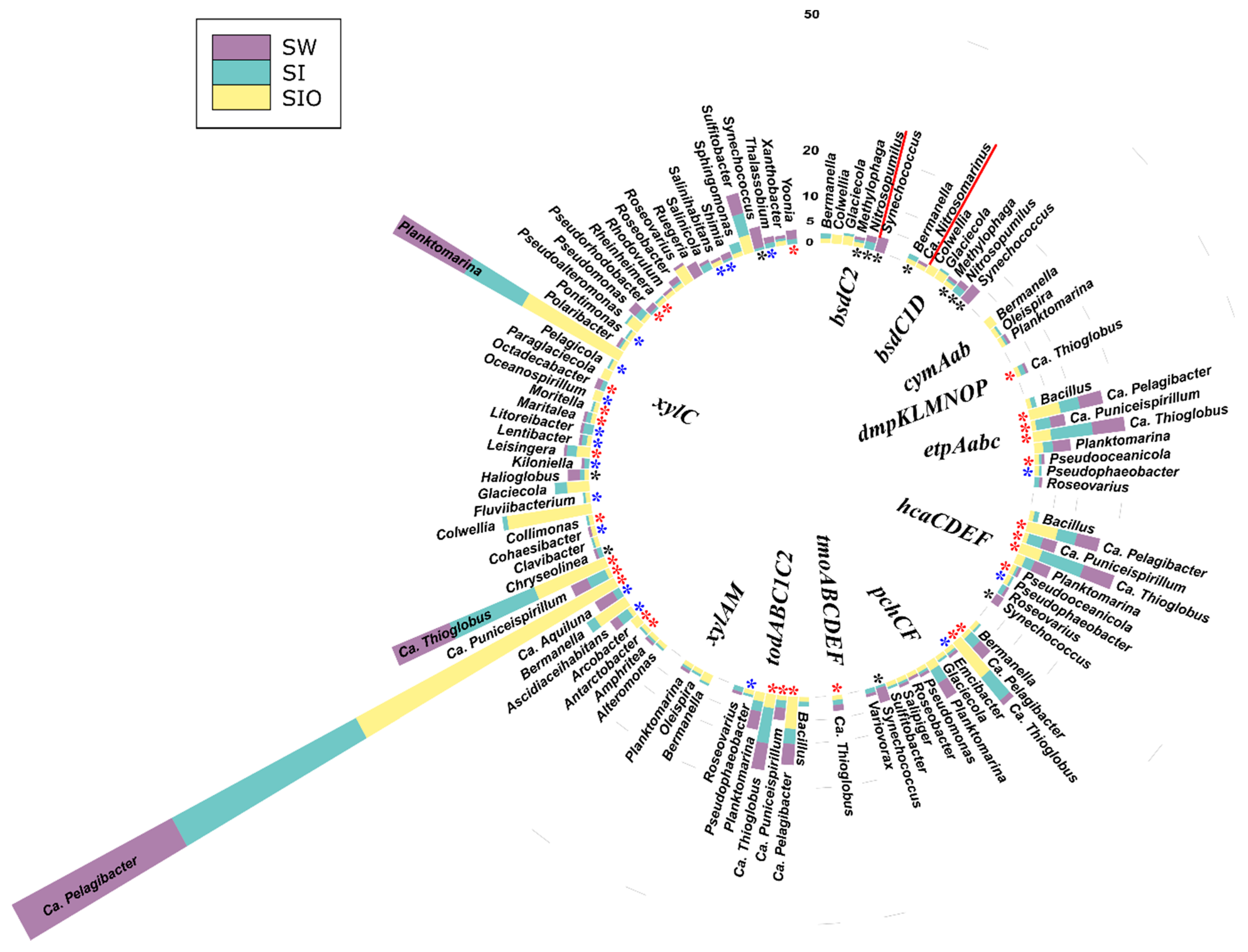 Microorganisms 10 00328 g005