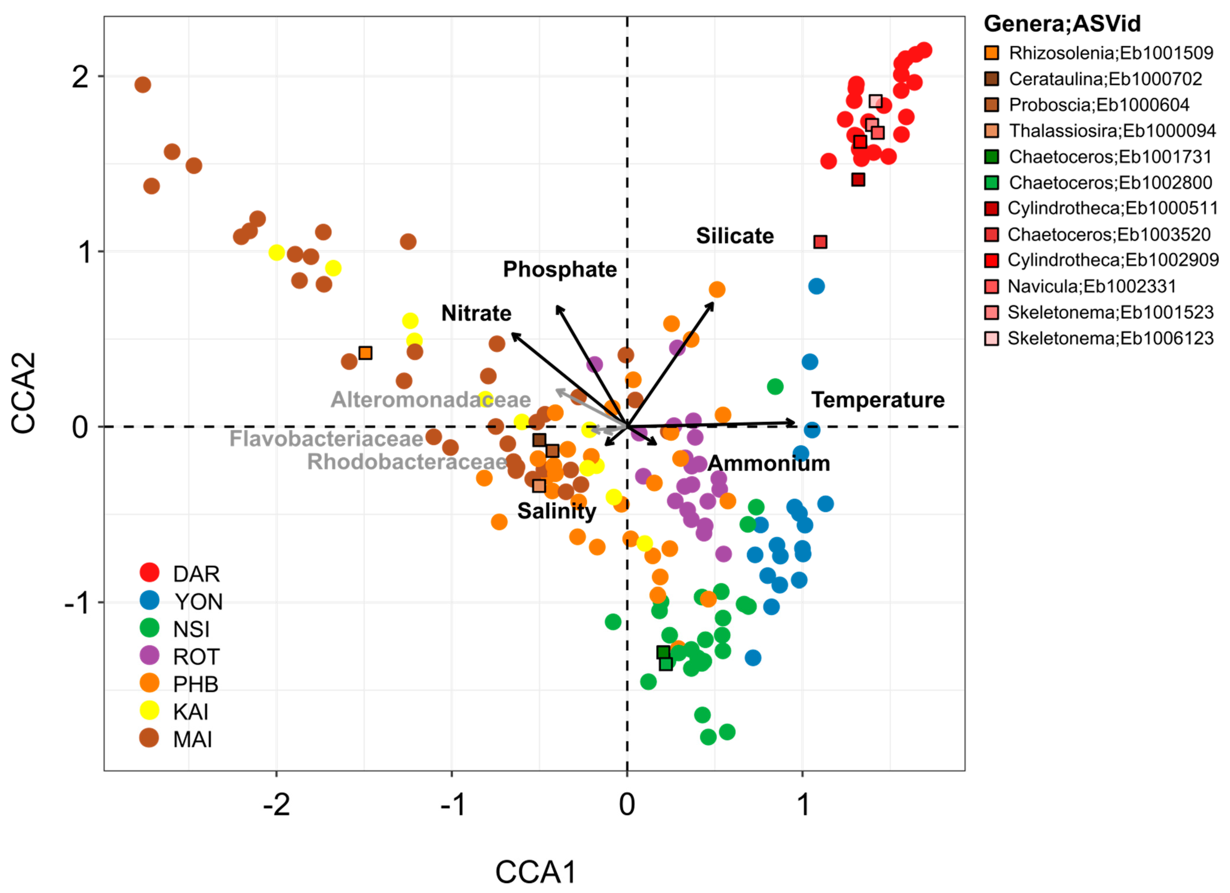 Microorganisms 10 00338 g004