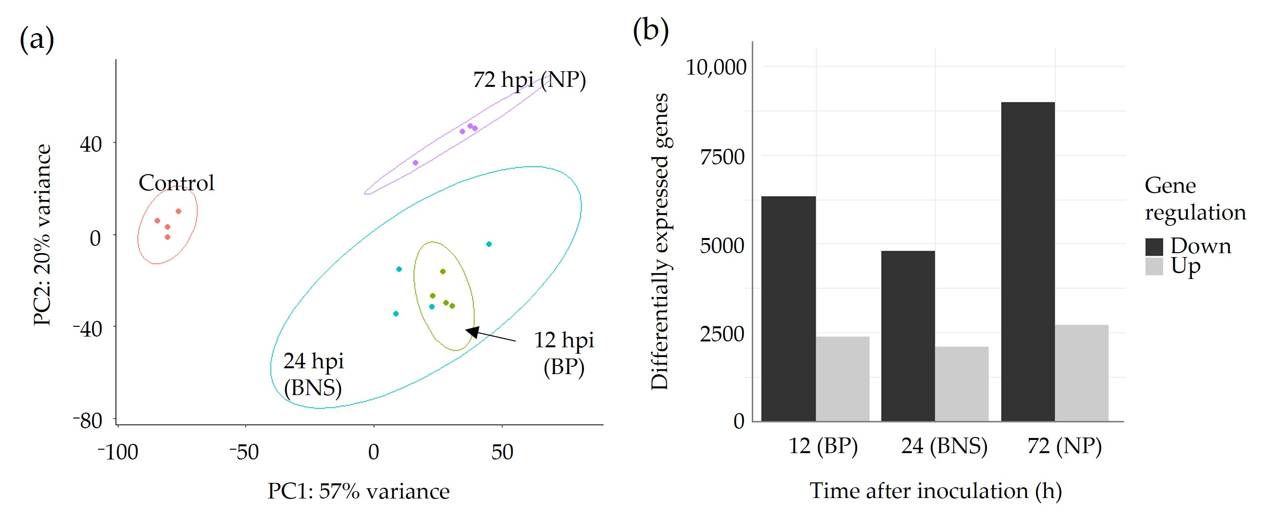 Microorganisms 10 00343 g003