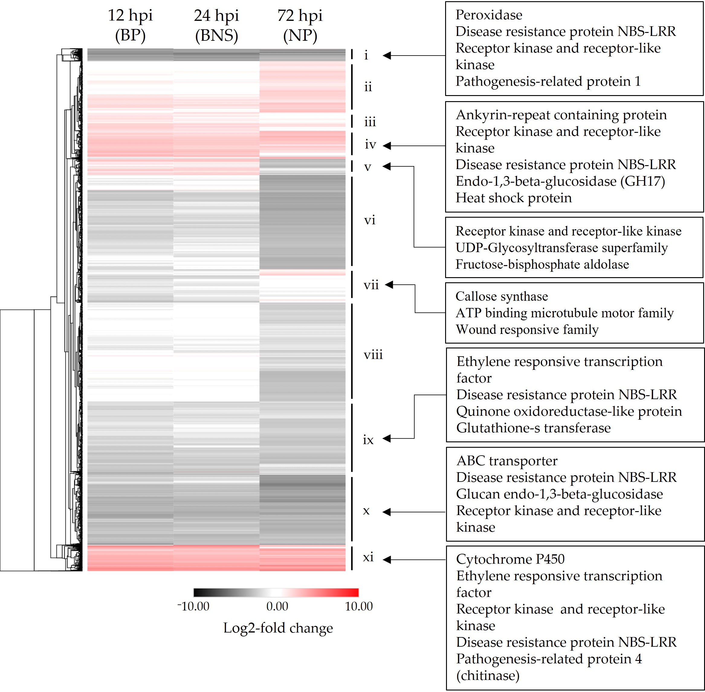 Microorganisms 10 00343 g004