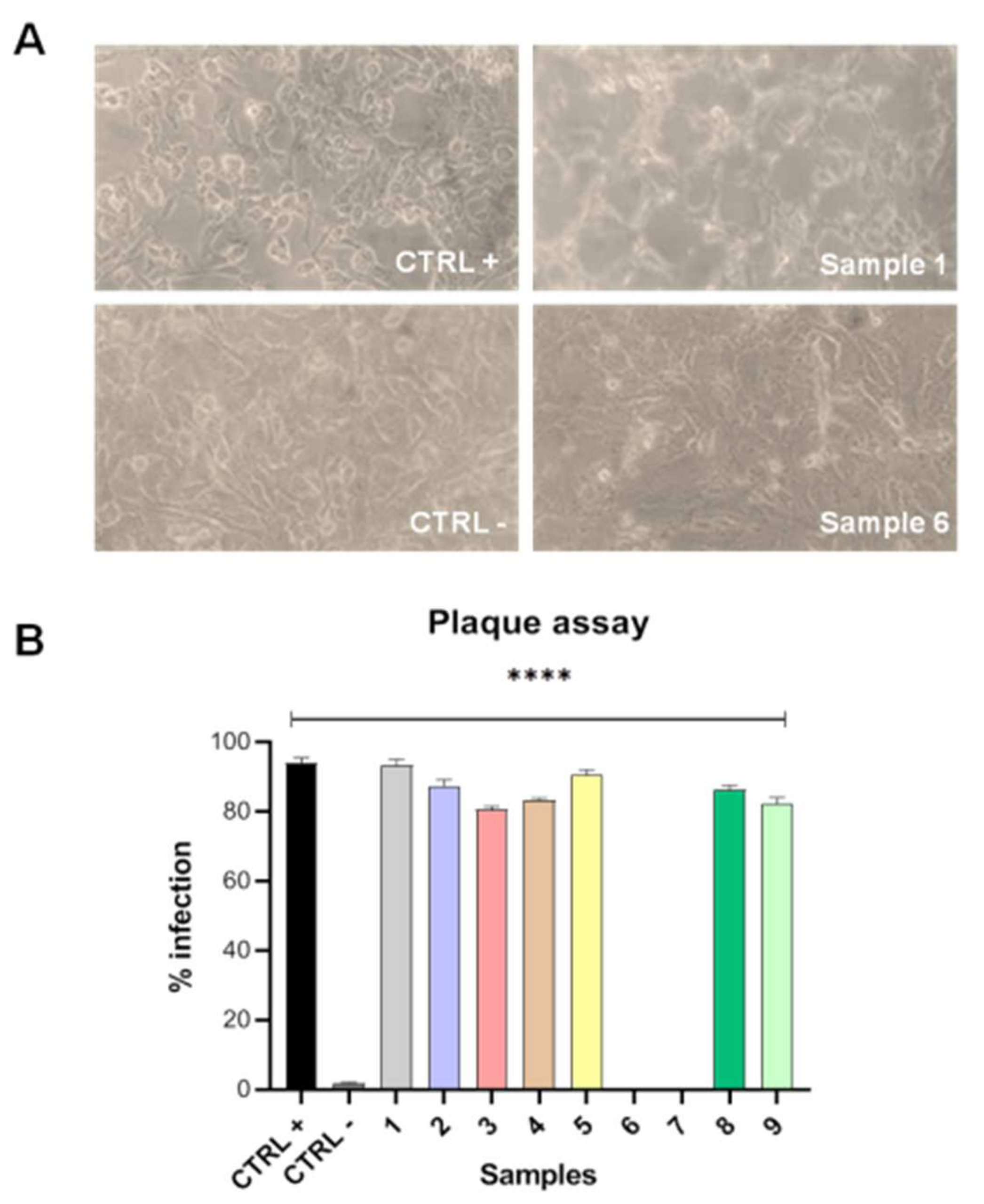Microorganisms 10 00347 g002
