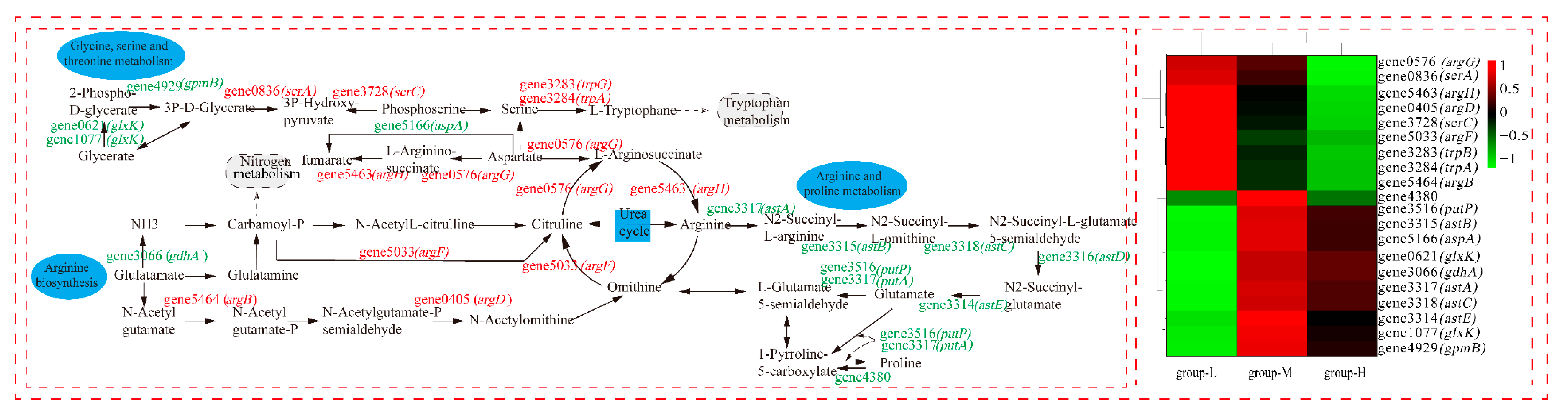 Microorganisms 10 00353 g008
