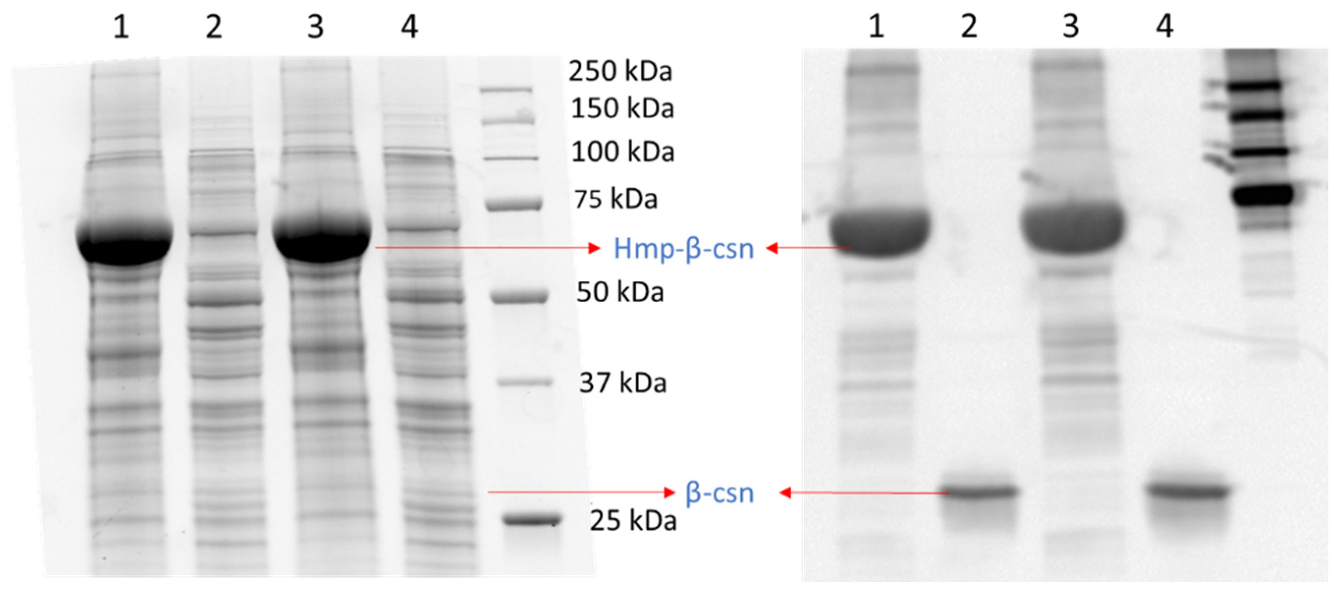 Microorganisms 10 00358 g003