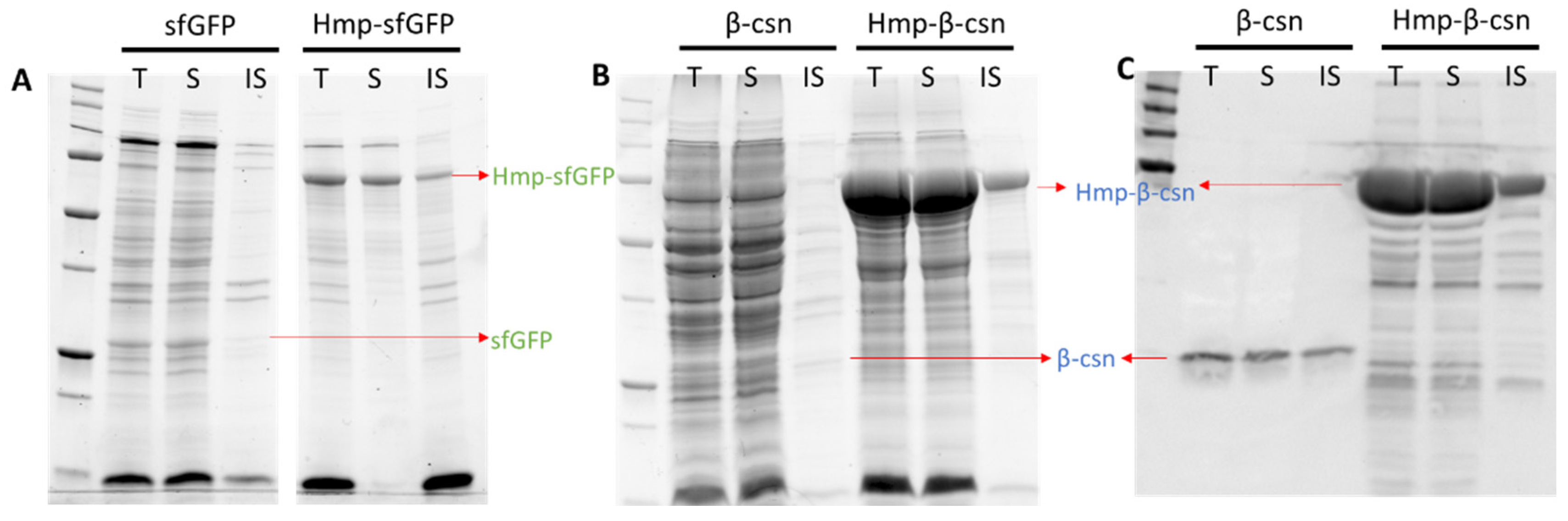 Microorganisms 10 00358 g004