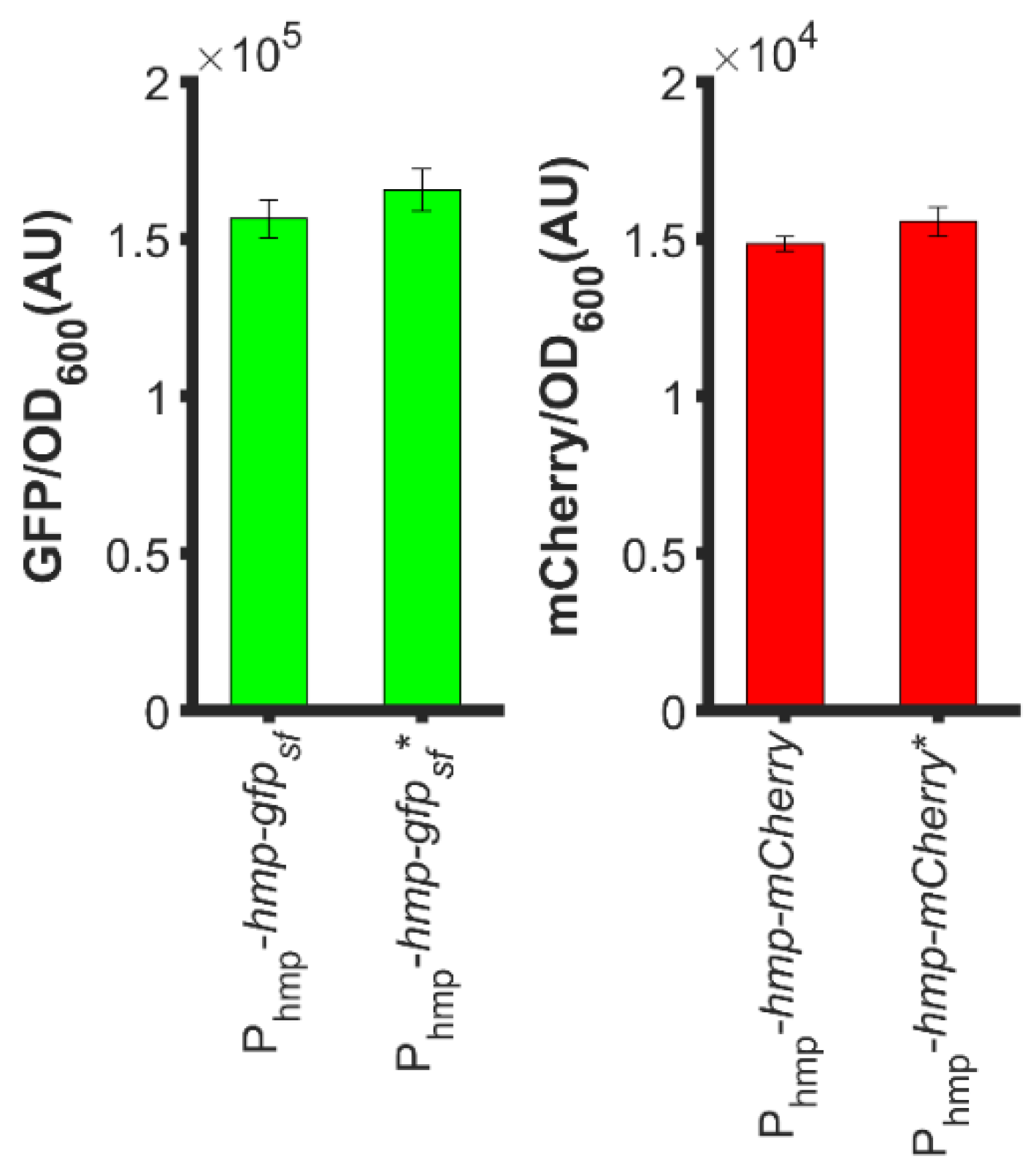 Microorganisms 10 00358 g007