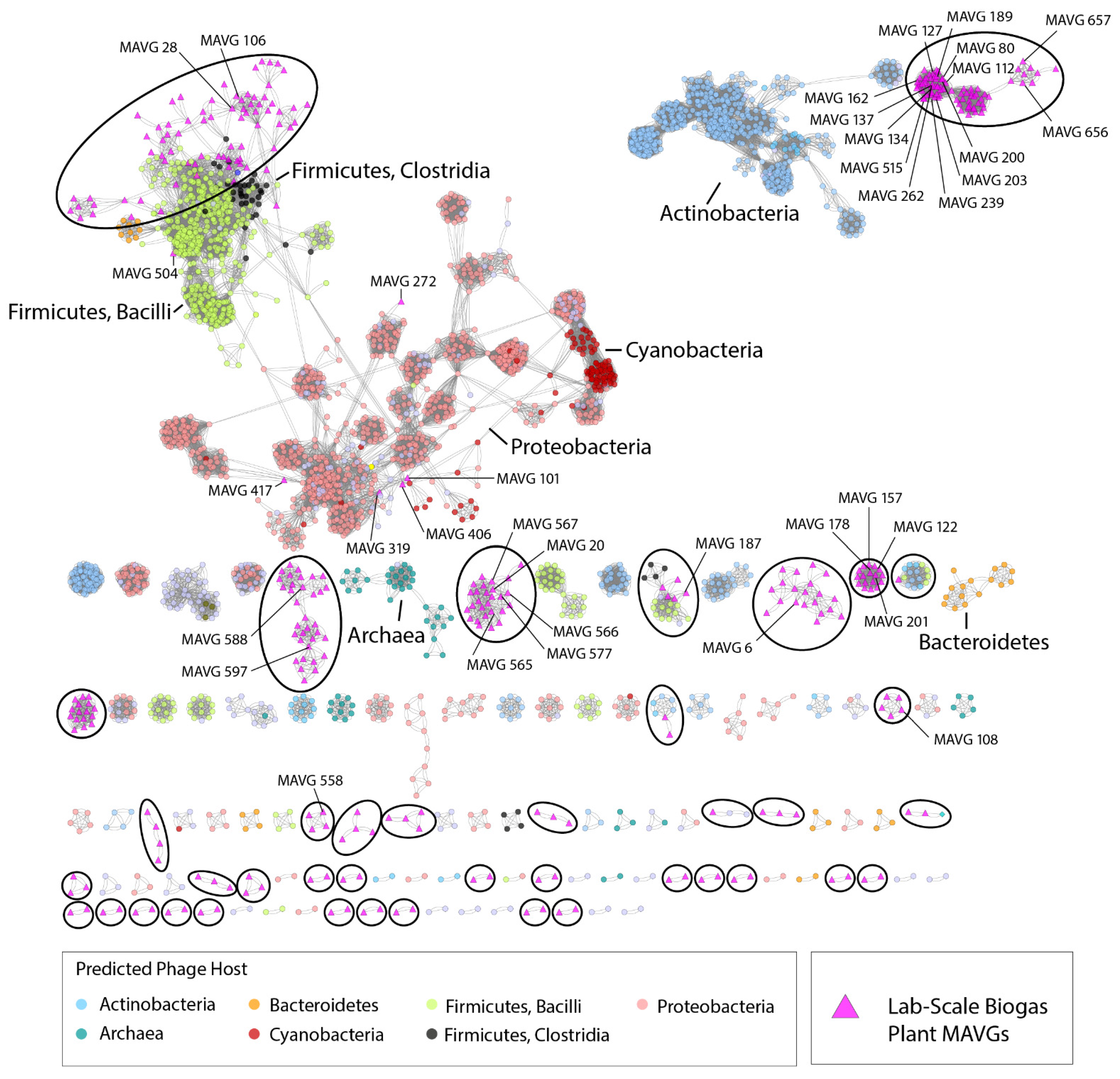 Microorganisms 10 00368 g003
