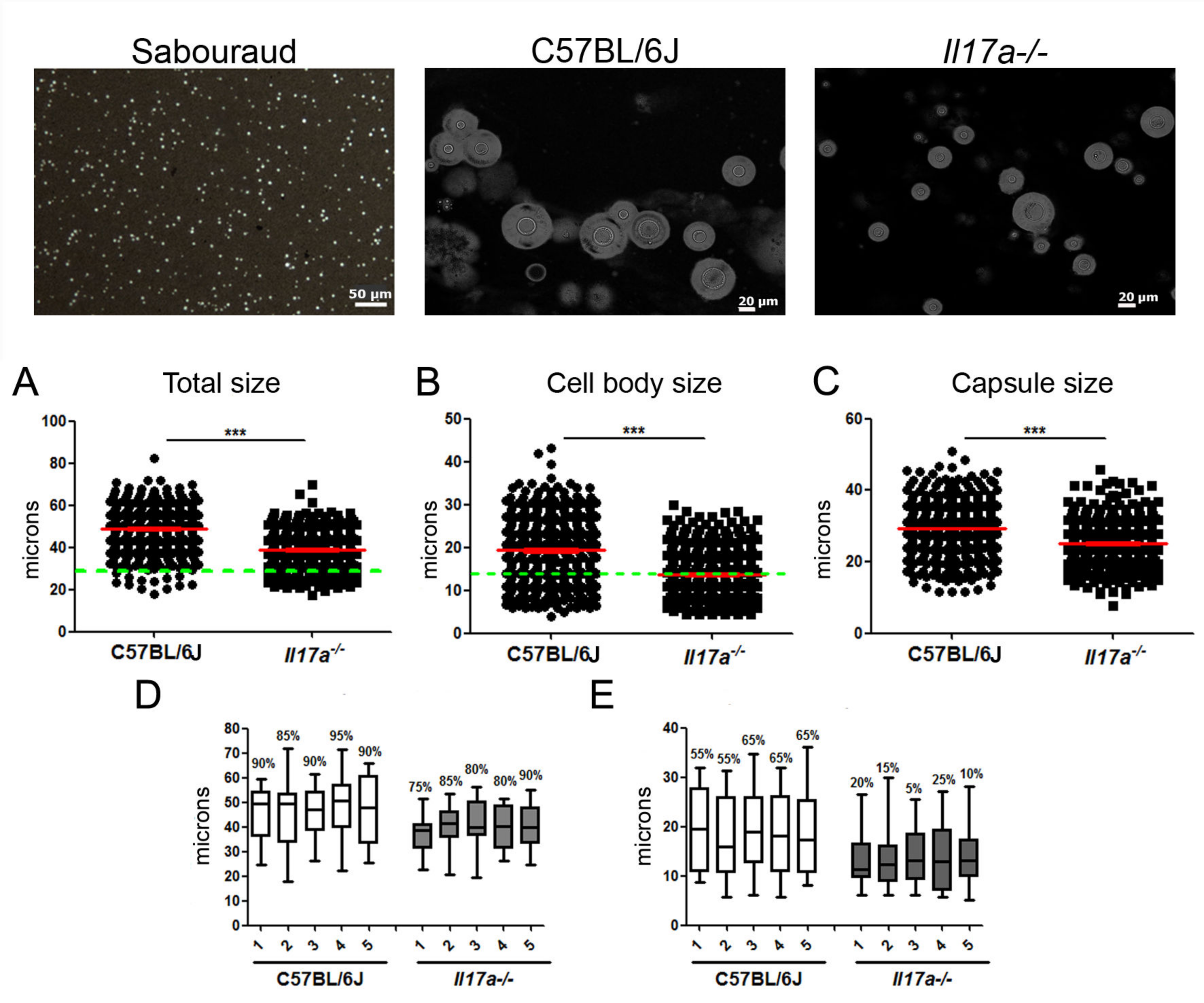 Microorganisms 10 00373 g001